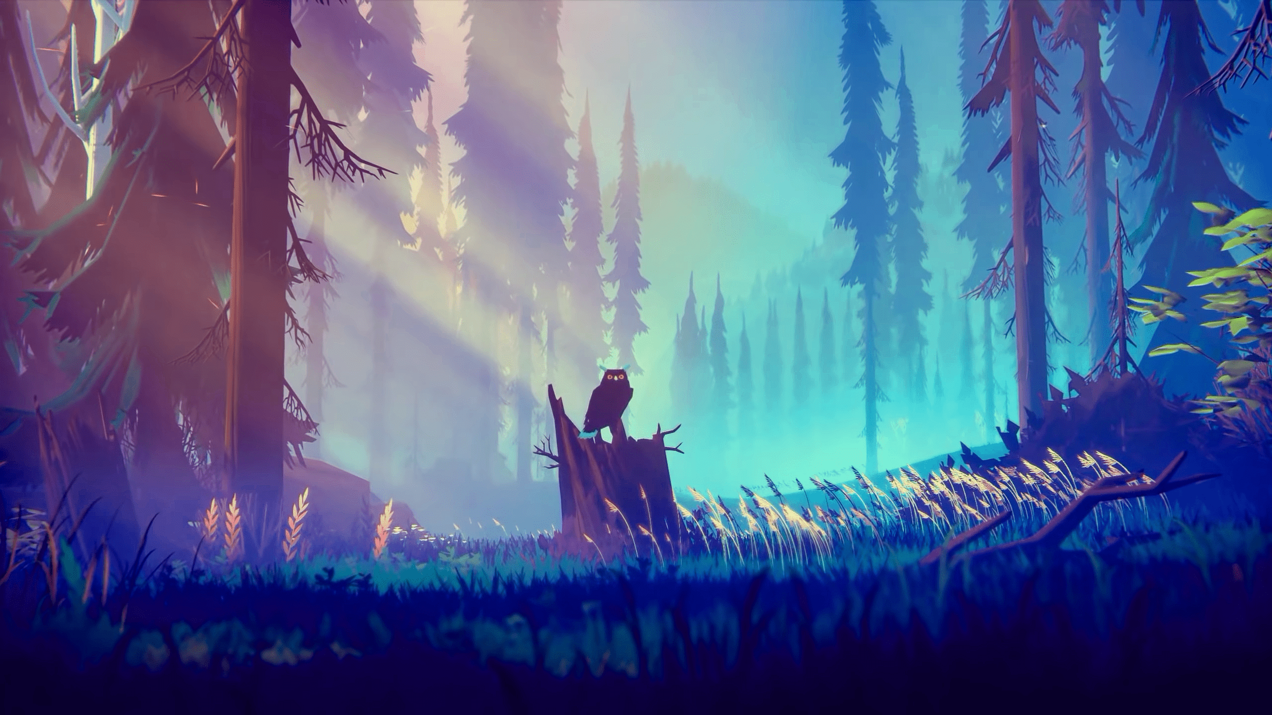 2560x1440 Owl in a Minimalistic Forest [2560 x 1440]: wallpaper