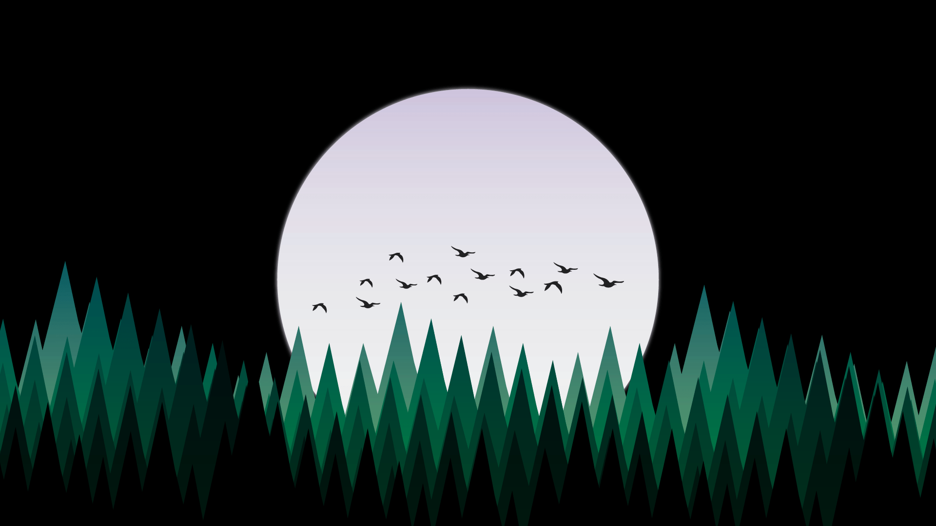 1920x1080 Desktop wallpaper forest night