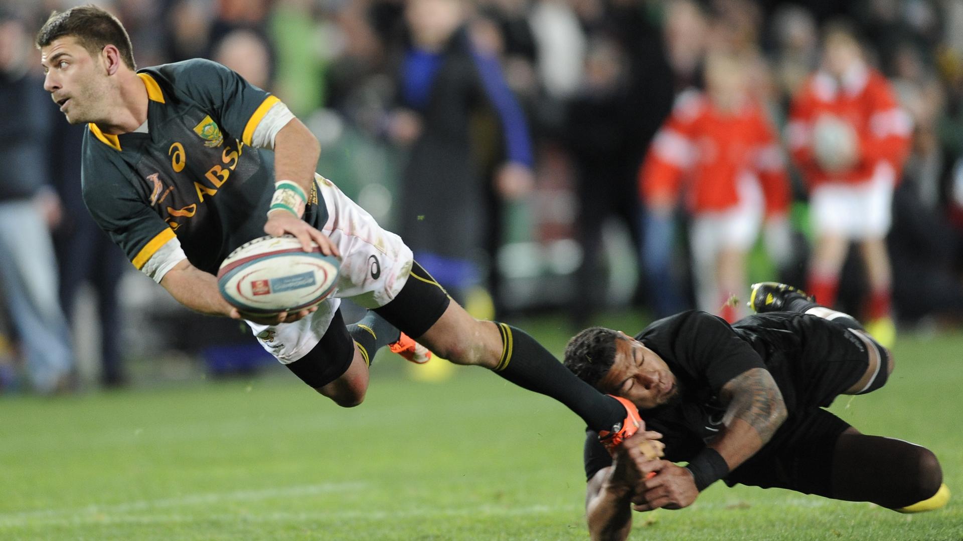 South Africa Rugby Wallpapers Top Free South Africa Rugby Backgrounds south-africa-rugby-wallpapers-top-free-south-africa-rugby-backgrounds