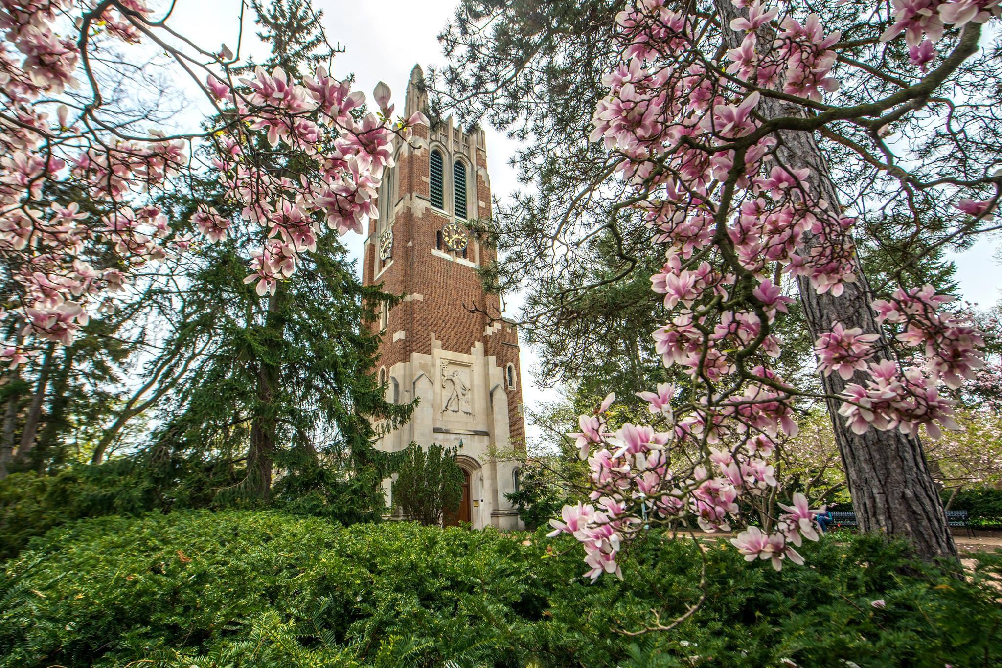 2048x1366 Michigan State University