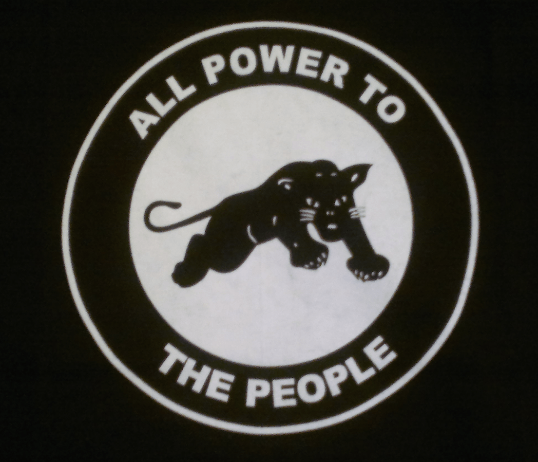 1048x899 Black Panther Party Wallpaper