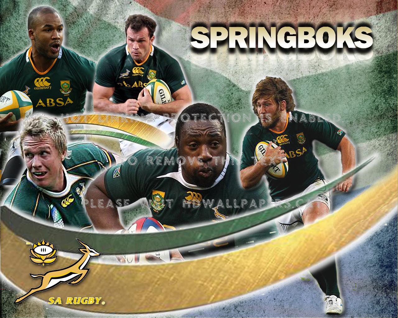 1280x1024 springboks rugby bokke sports