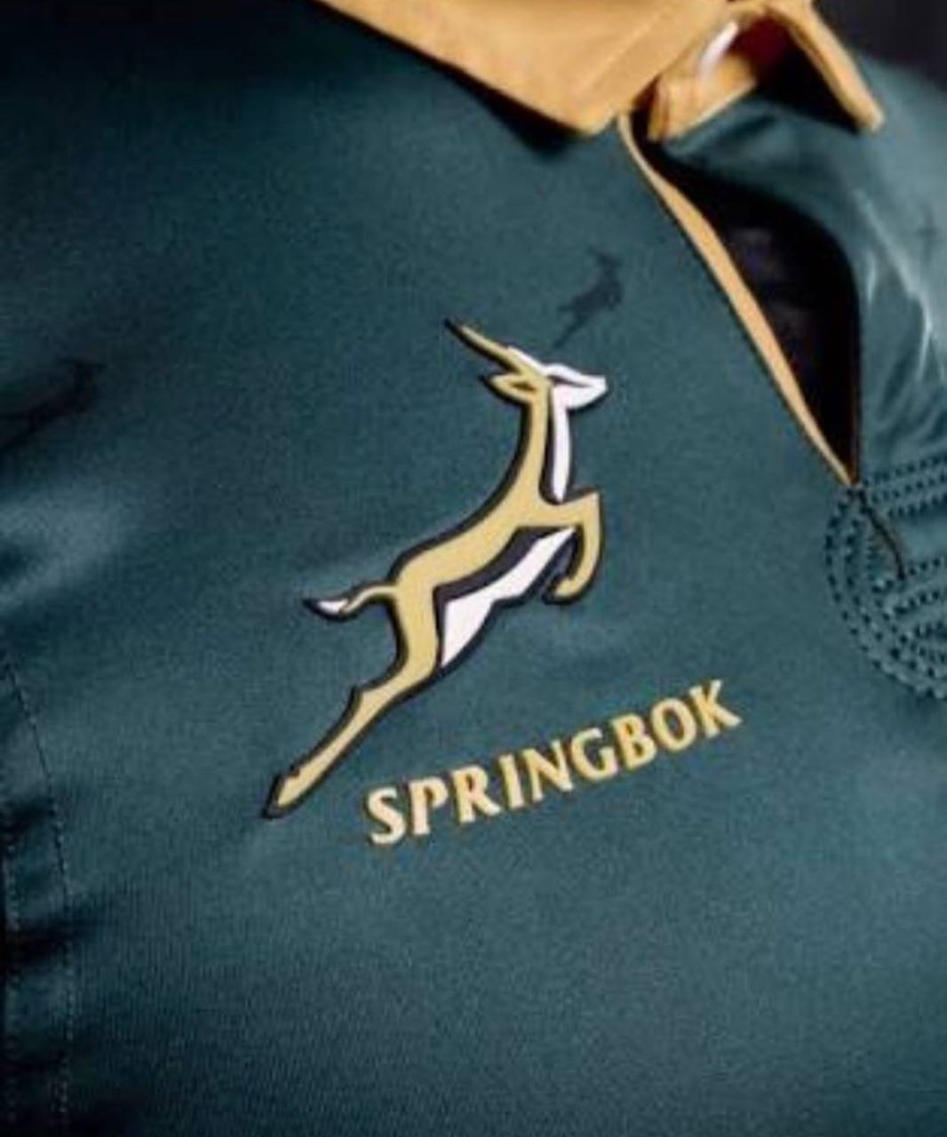 1066x1280 Springbok HD Wallpaper