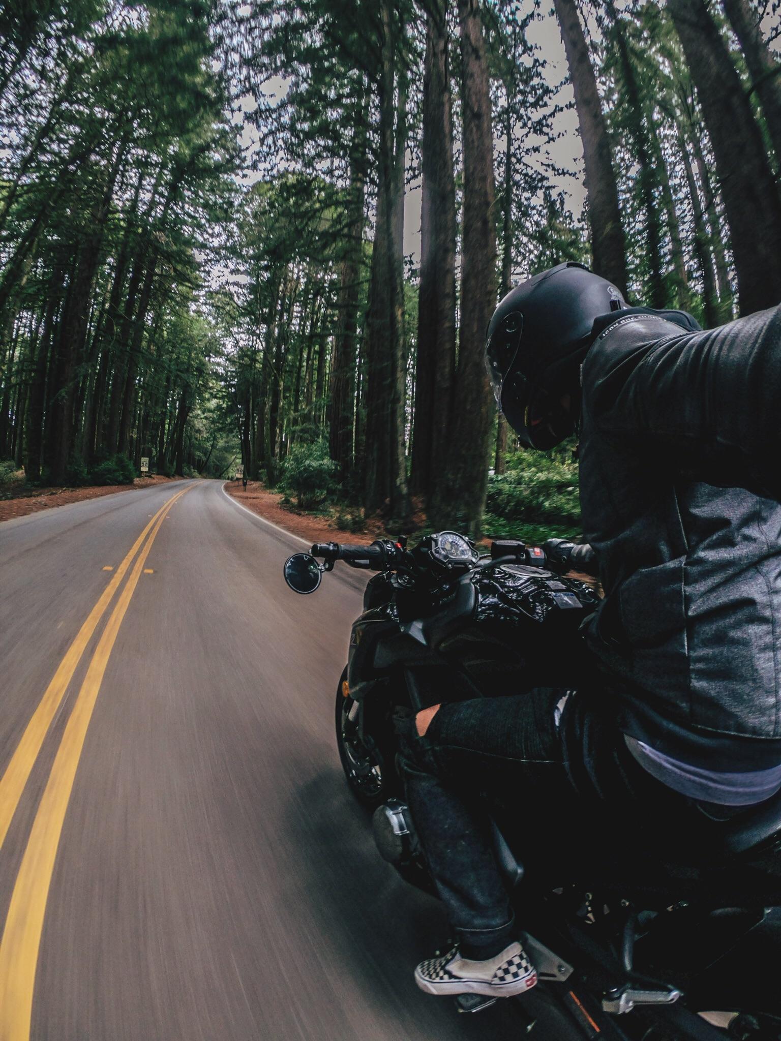 1536x2048 Unleashing the Z900 in the wild: motorcycles