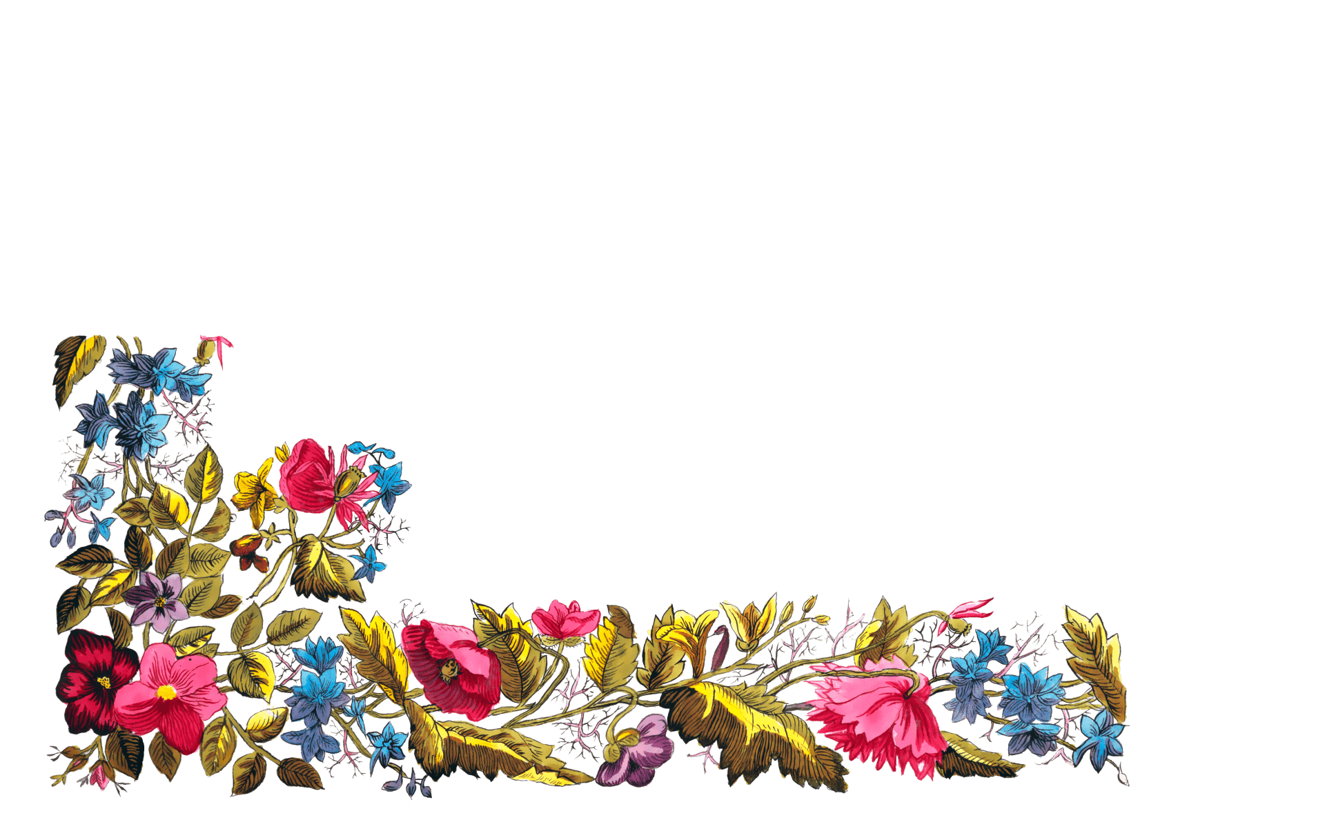 1920x1205 Floral Vintage Border Frame Free Domain Picture