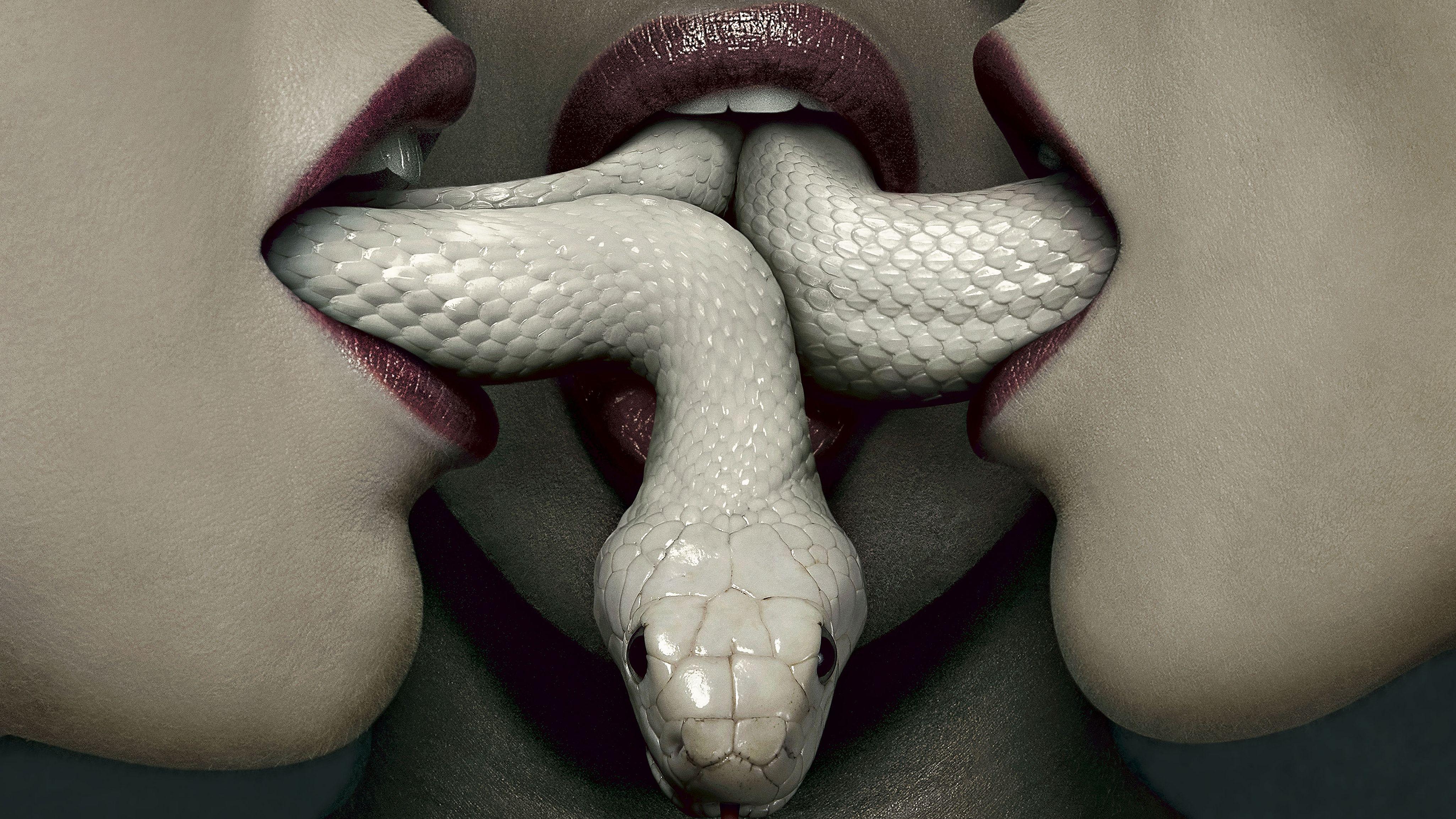 4100x2306 American Horror Story: Coven HD Wallpaper and Background Image