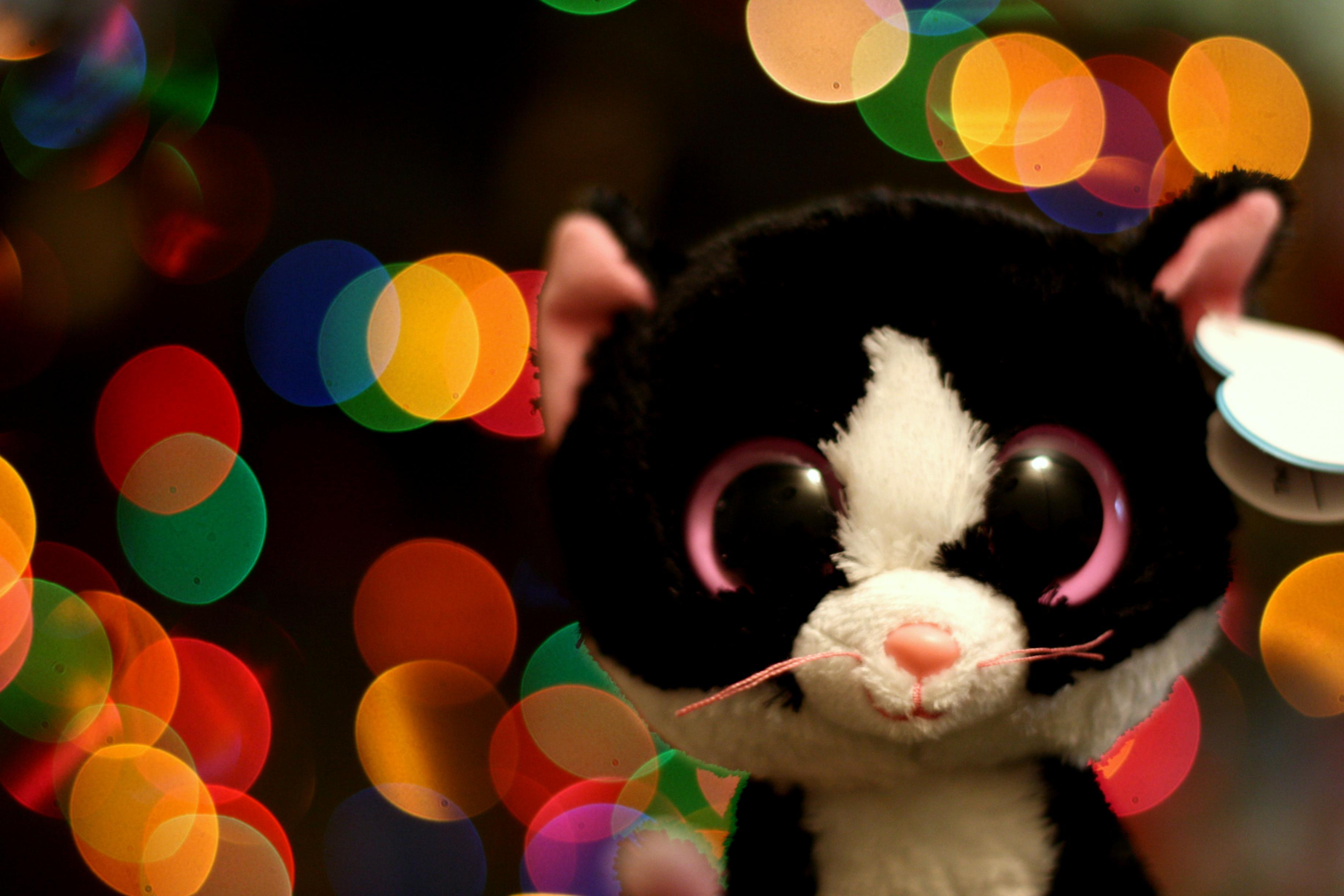 3673x2449 Beanie Boo Wallpaper