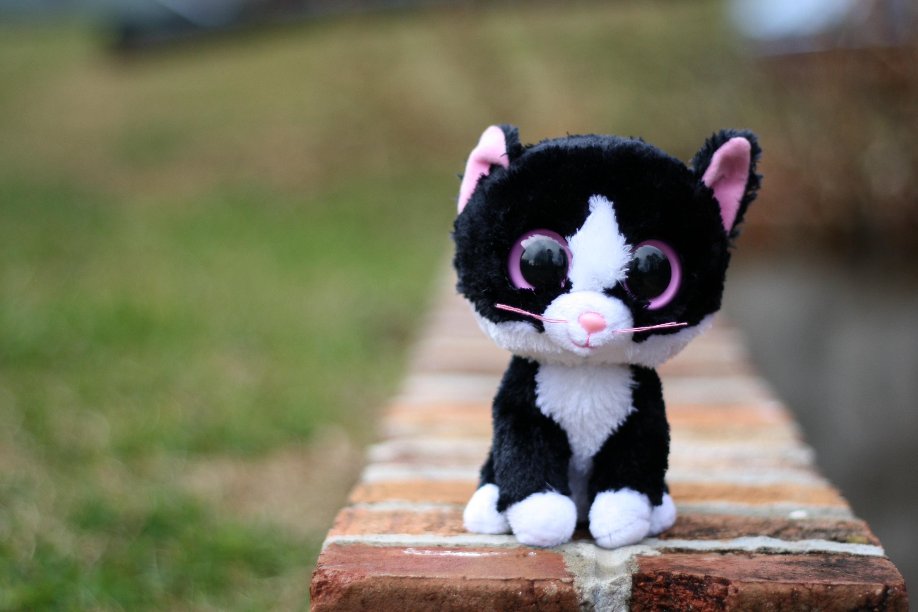 3742x2494 Beanie Boo Wallpaper