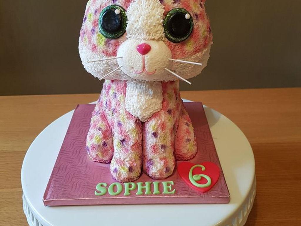 1024x768 Beanie Boo Cake