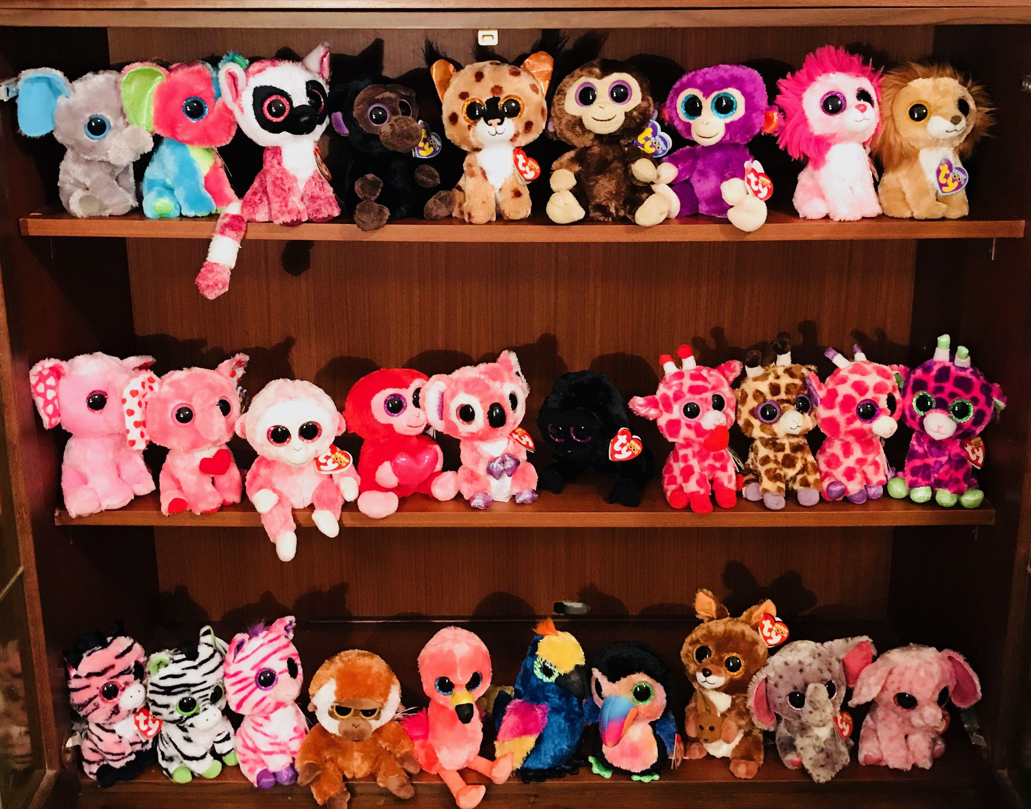 3565x2799 Safari Beanie Boos. Boo plush, Beanie boos, Ty beanie boos