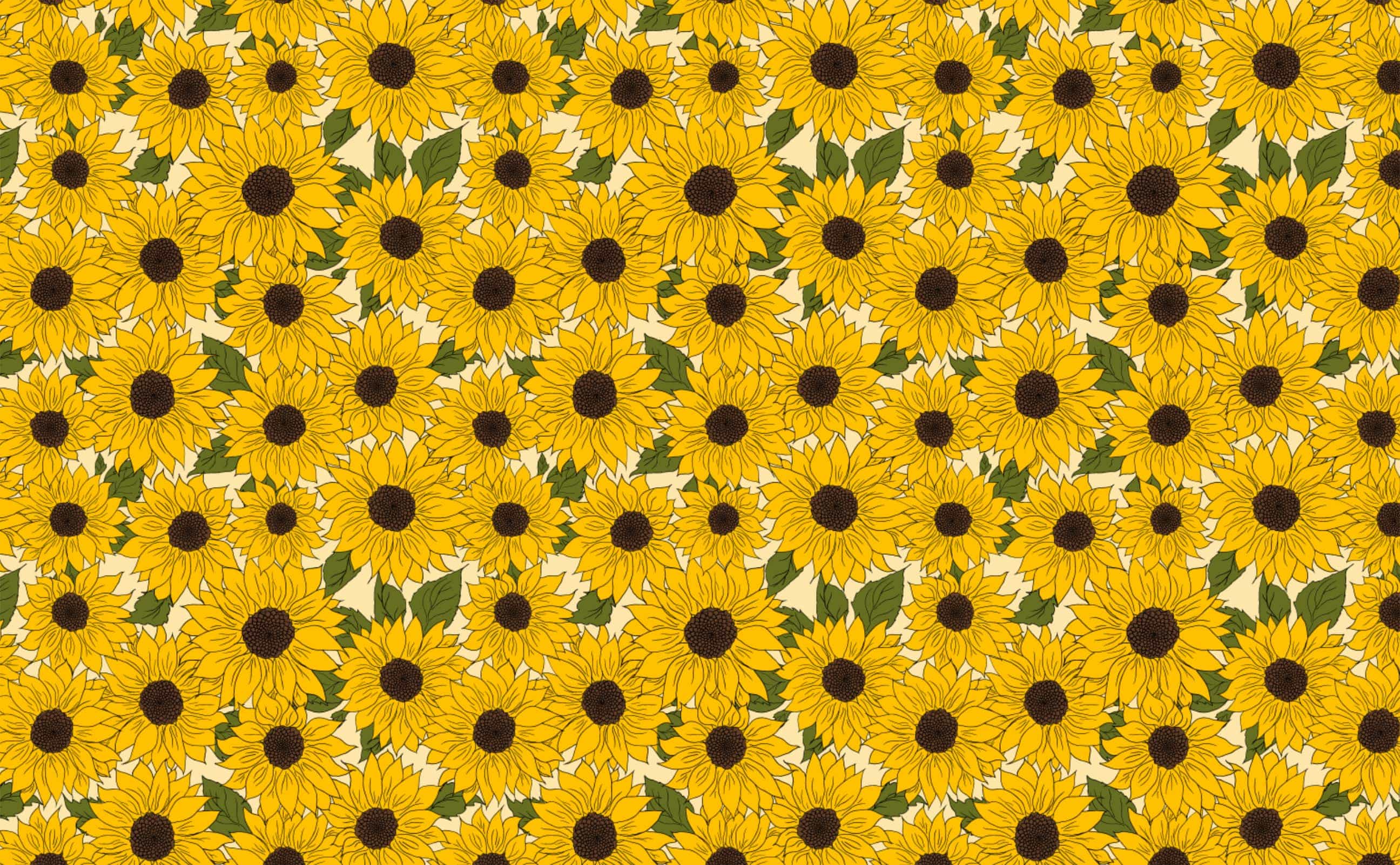 2592x1602 Hand drawn yellow retro sunflower Wallpaper for Walls