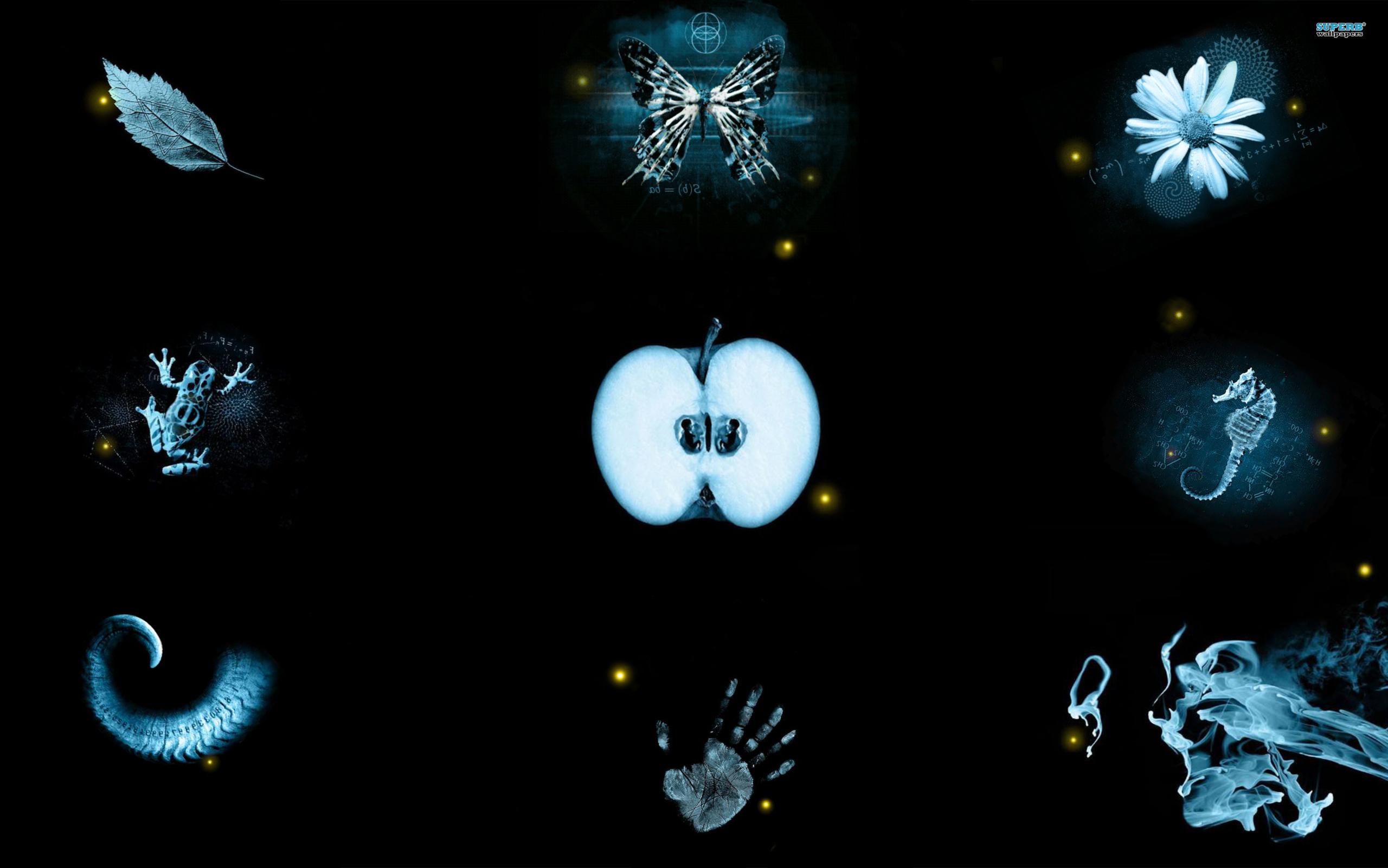 Fringe Hand Wallpapers - Top Free Fringe Hand Backgrounds - WallpaperAccess