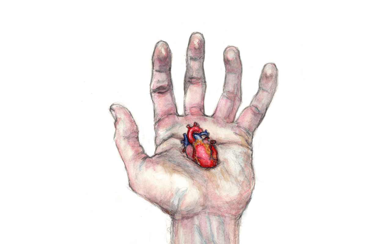 1280x800 Free download Anatomy Computer Wallpaper Desktop Background 1280x800 ID [1280x800] for your Desktop, Mobile & Tablet. Explore Anatomy Wallpaper. Human Anatomy Wallpaper, Grey S Anatomy Wallpaper, Grey Wallpaper HD