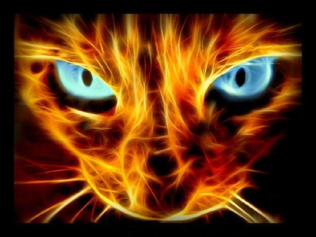 1024x768 Fire art, Cats, Art