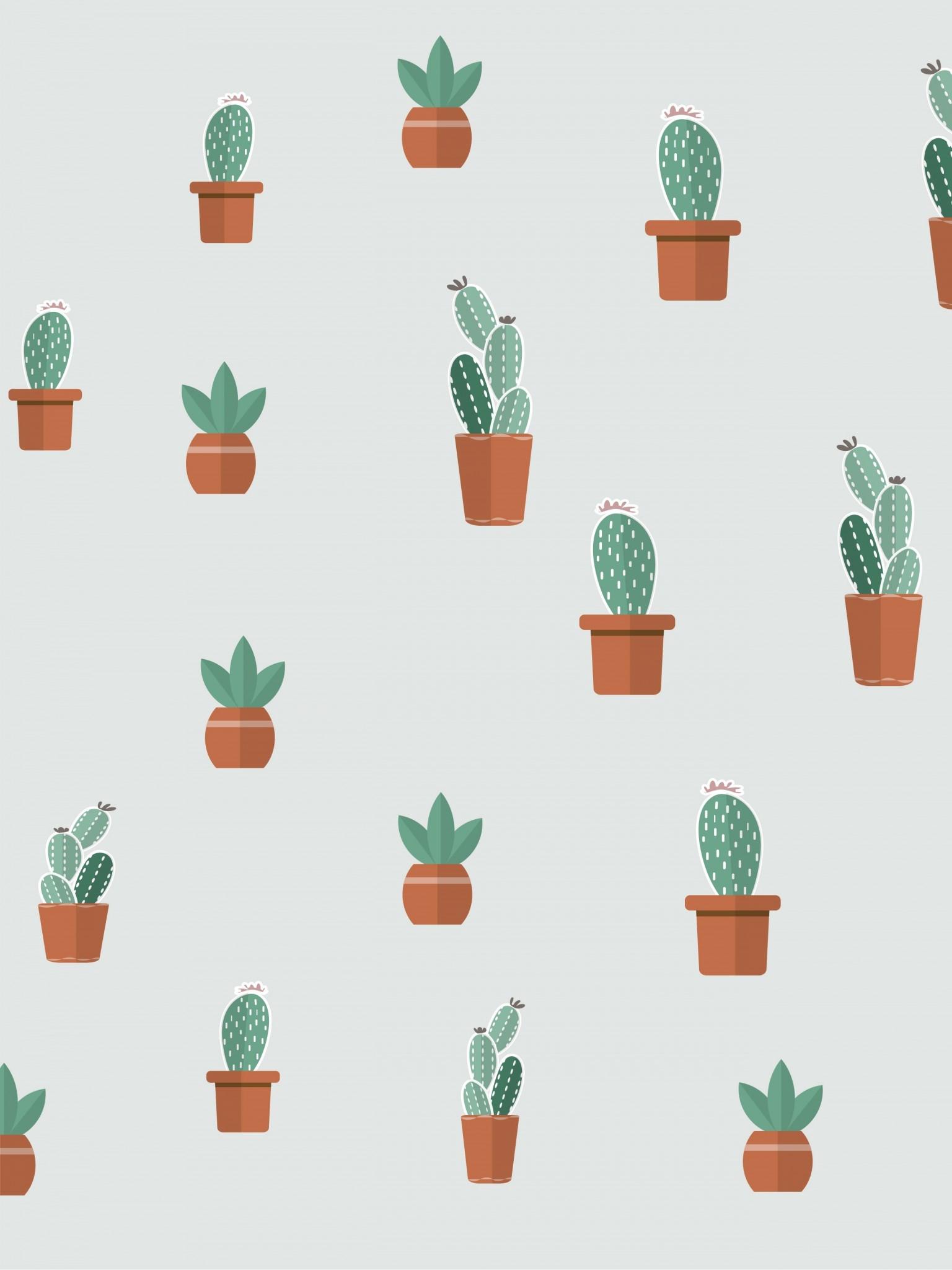 Pot Plant Wallpapers Top Free Pot Plant Backgrounds WallpaperAccess