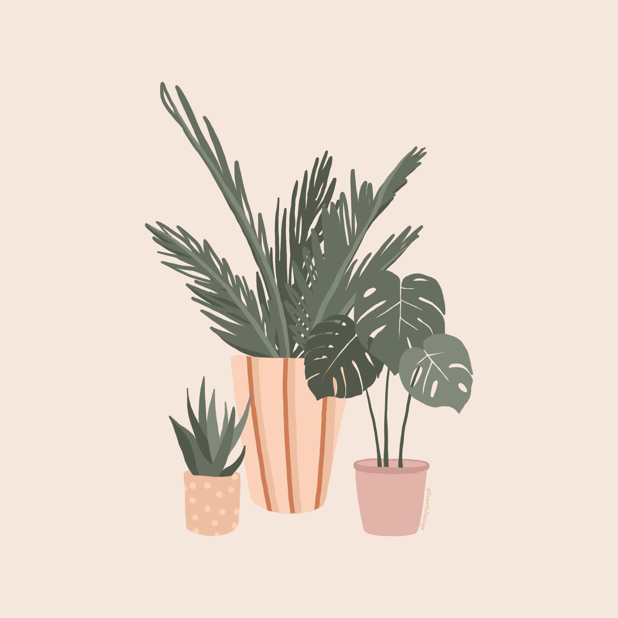 2000x2000 Pot Plants. Plant art, Bloxburg decal codes, Plant illustration