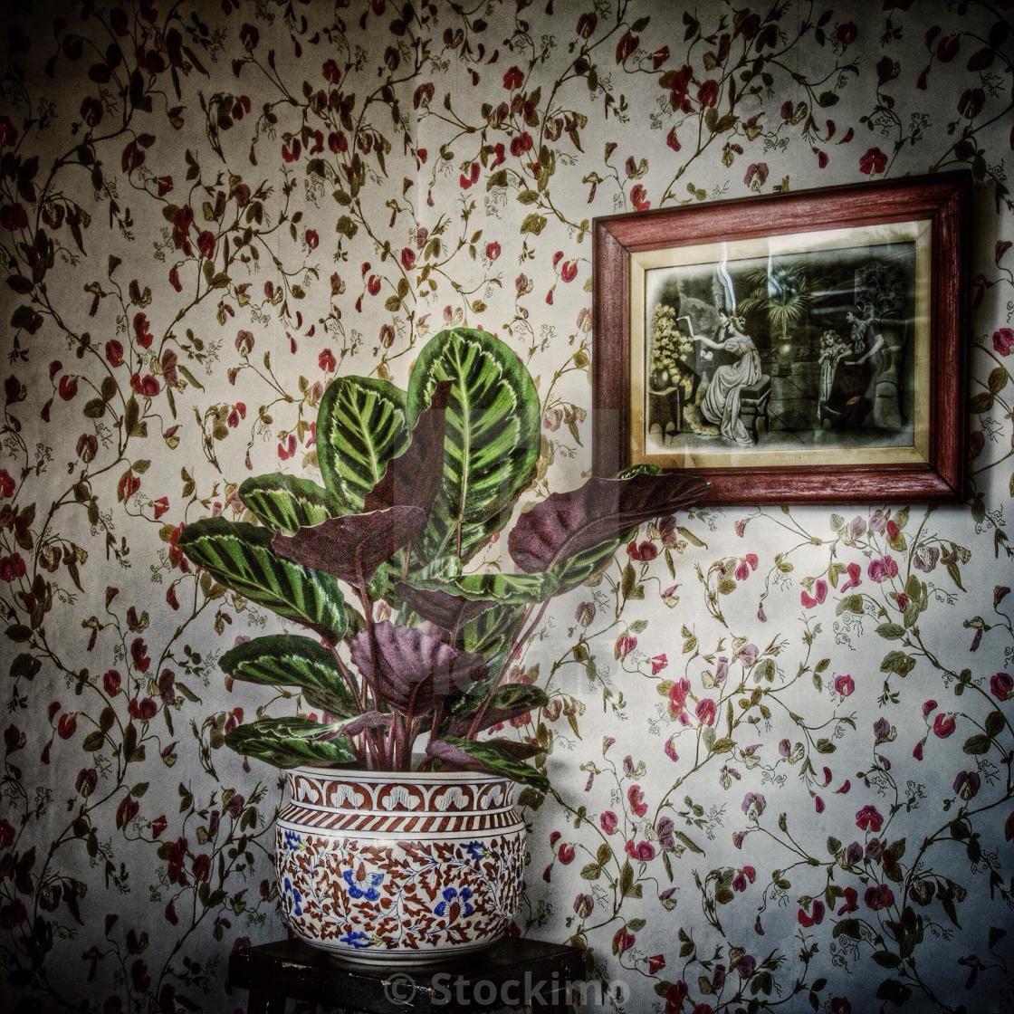 1120x1120 Nostalgia. A pot plant against old fashioned wallpaper with a framed vintage print on the wall., download or print for £31.00