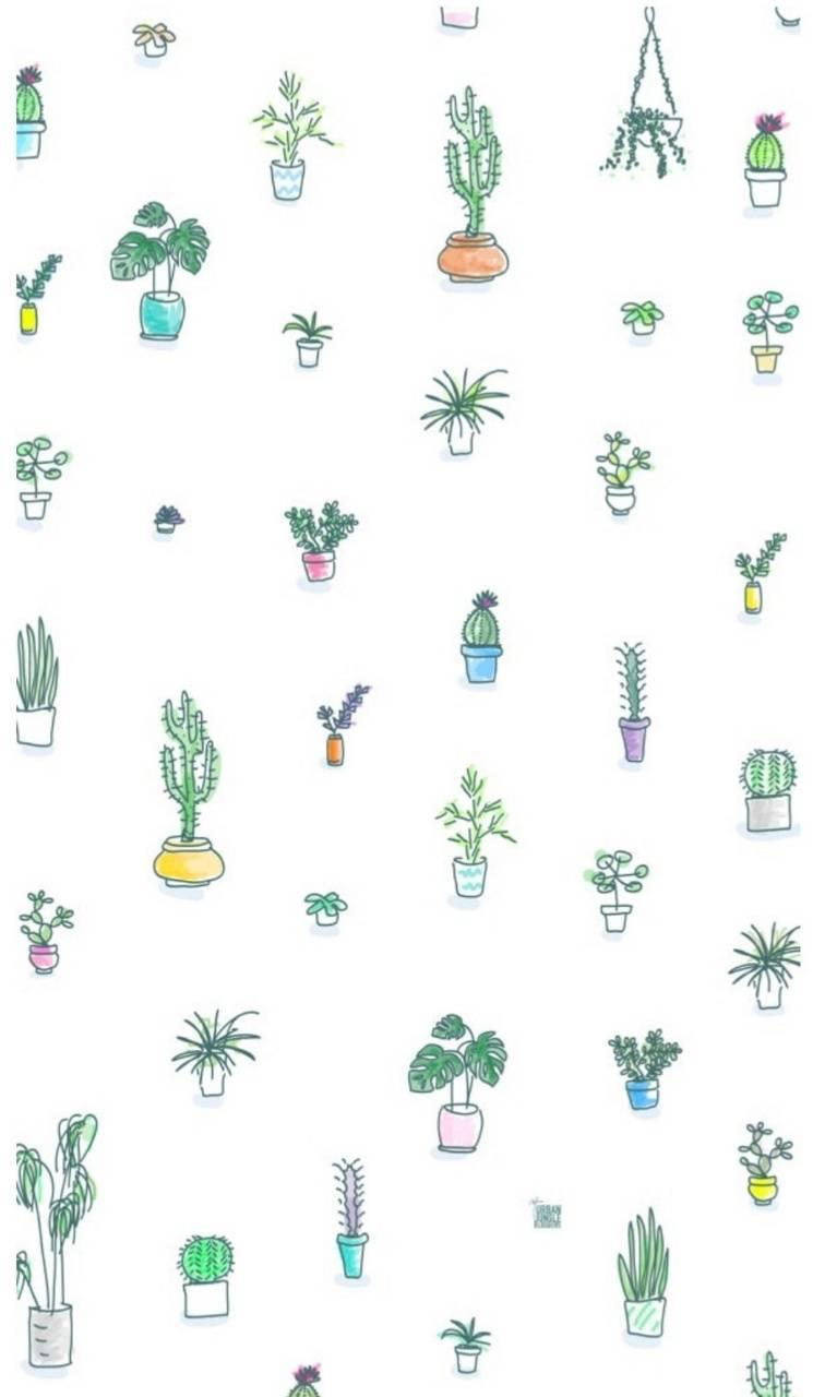 756x1280 Download Cute Plants HD Wallpaper and Background
