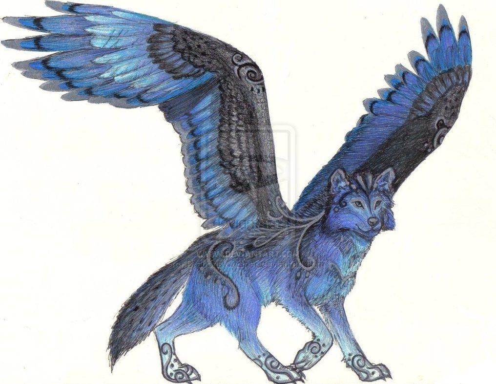 1016x786 anime animal image Sky the blue winged wolf HD wallpaper