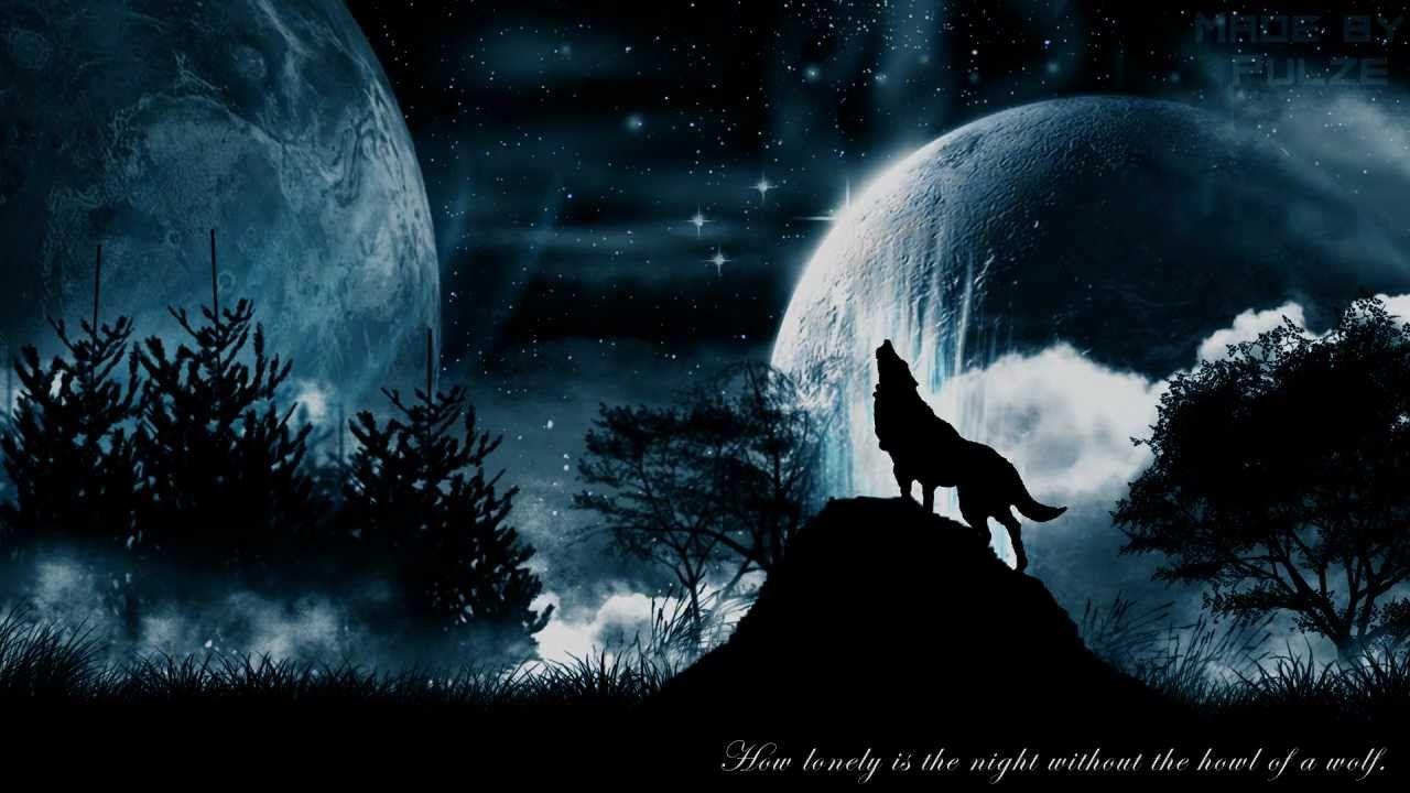 1280x720 Animated Wolf Wallpaper 1280x720 px, D7RM2K