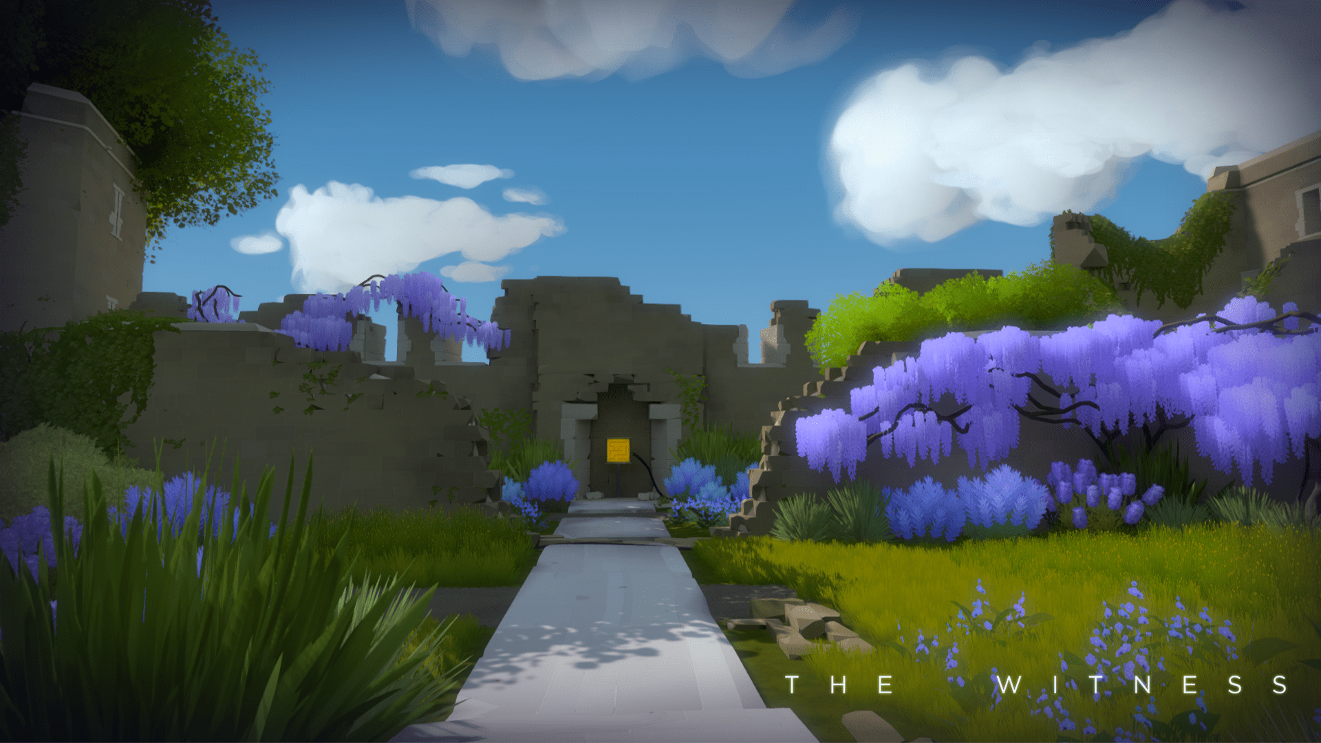 The Witness Wallpapers - Top Free The Witness Backgrounds - WallpaperAccess