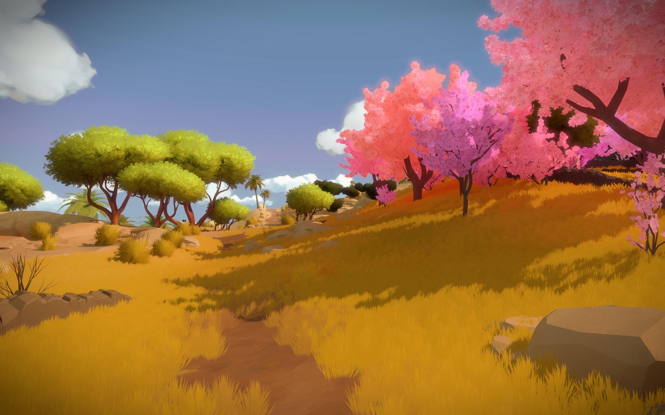 2560x1600 HD The Witness Wallpaper