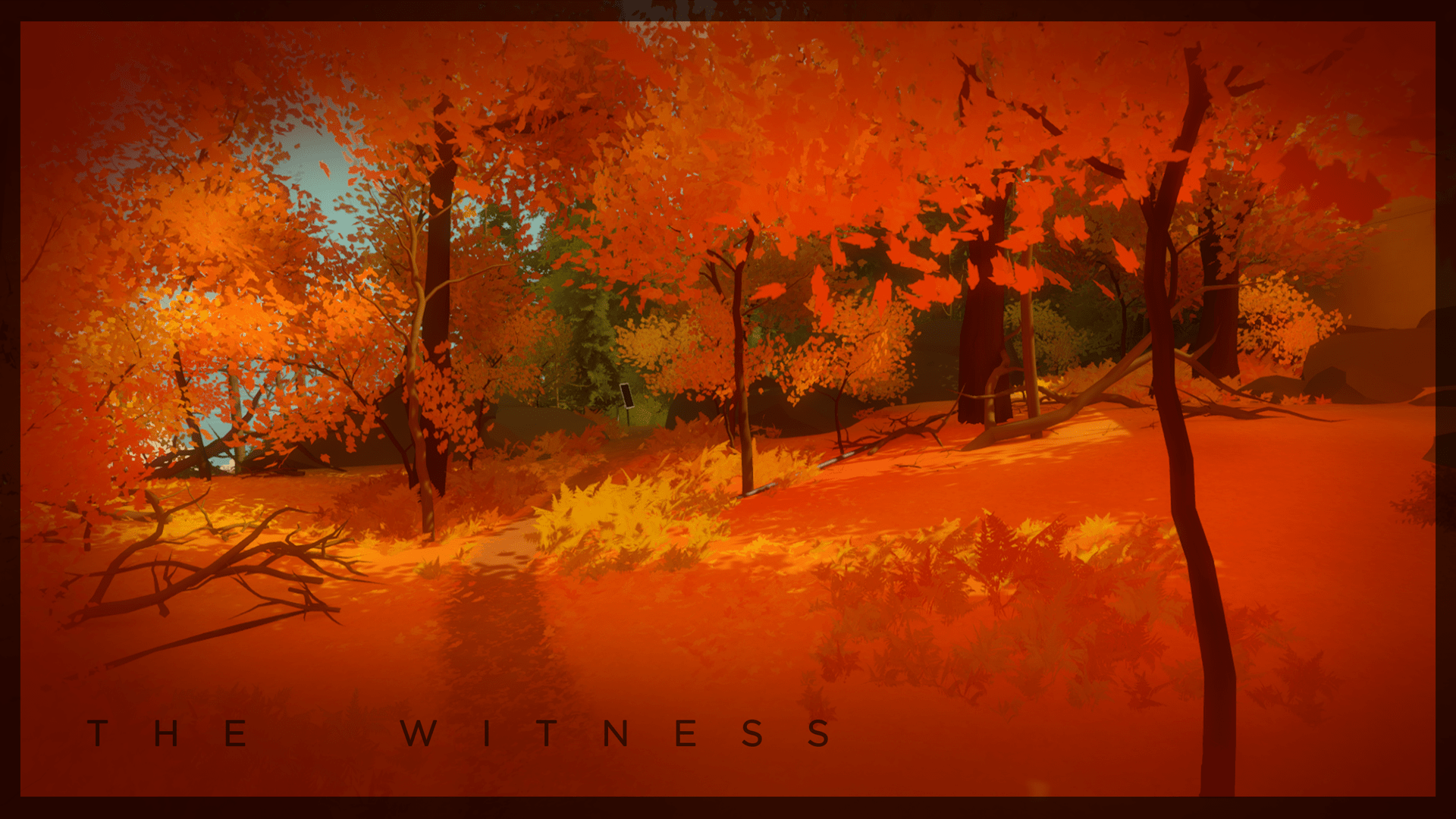 1920x1080 Wallpaper!