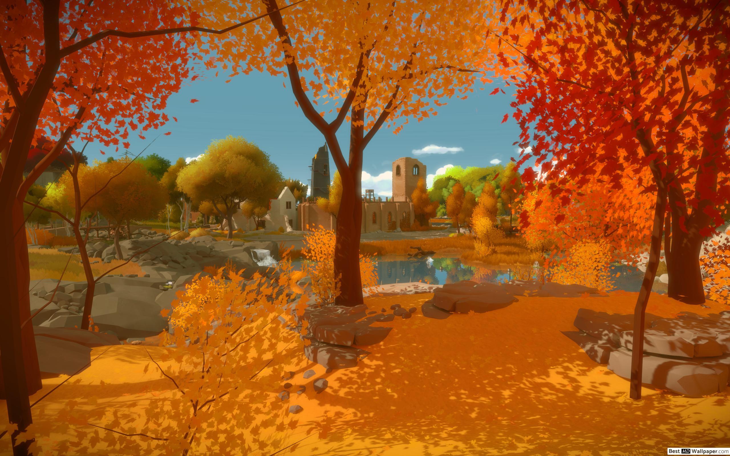 2560x1600 Witness fall HD wallpaper download