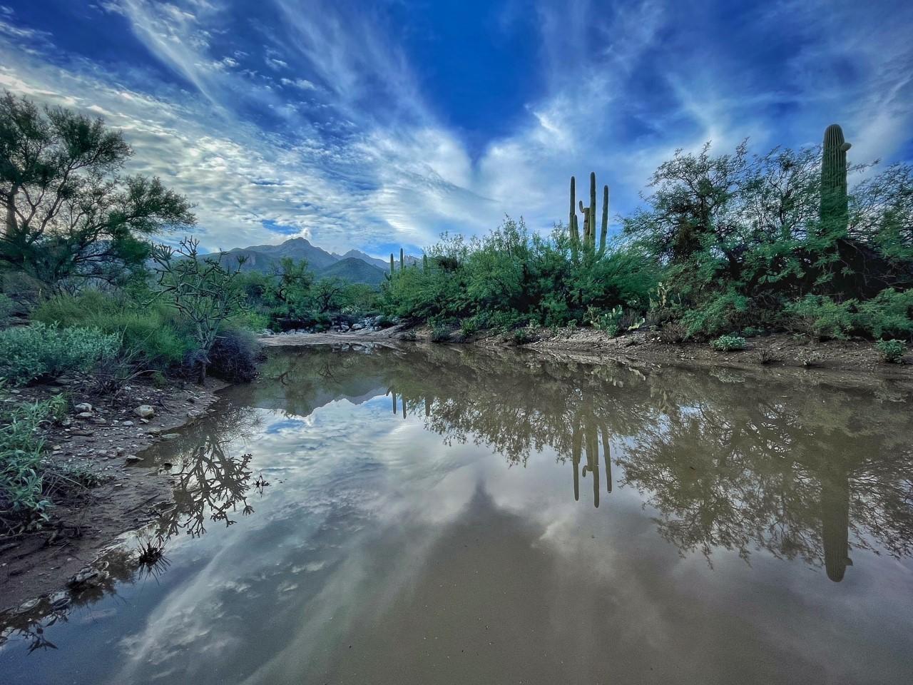Arizona Monsoon Wallpapers Top Free Arizona Monsoon Backgrounds