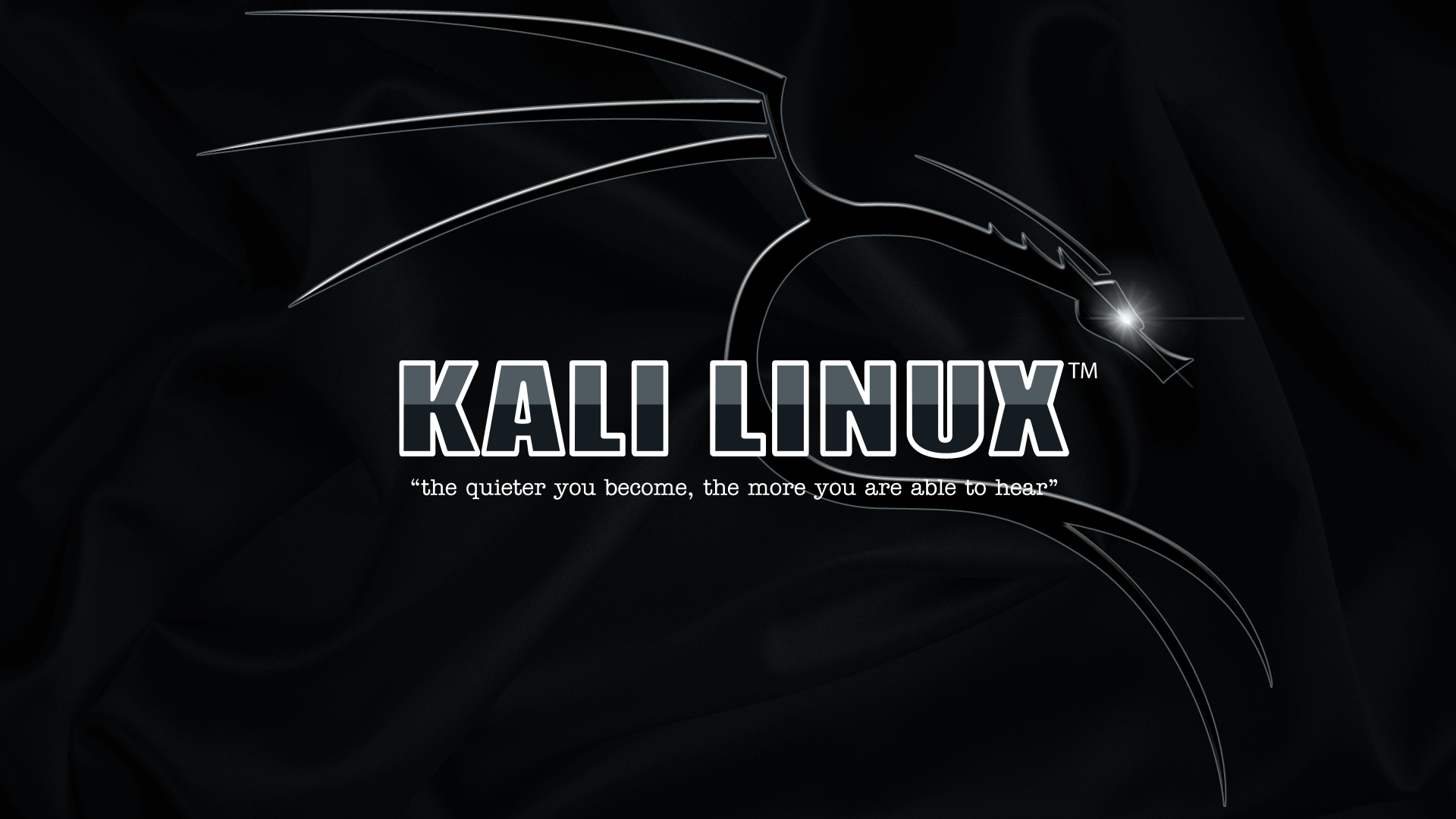 1920x1080 Kali Linux. Kali linux hacks, Linux, Kali