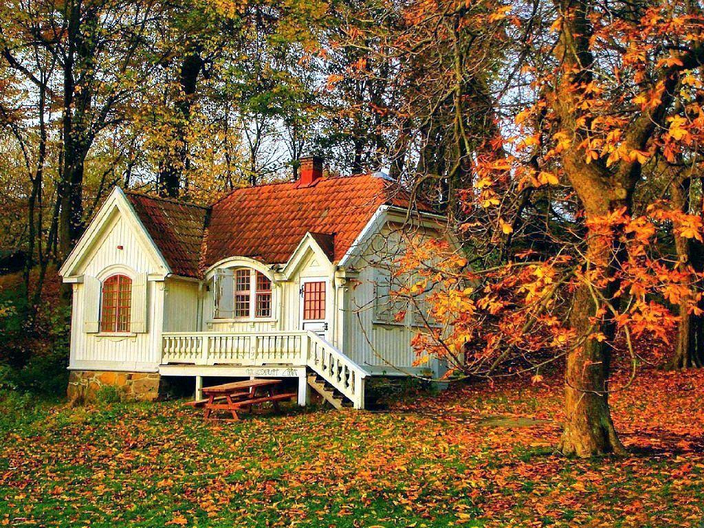 1024x768 Autumn Houses Wallpaper
