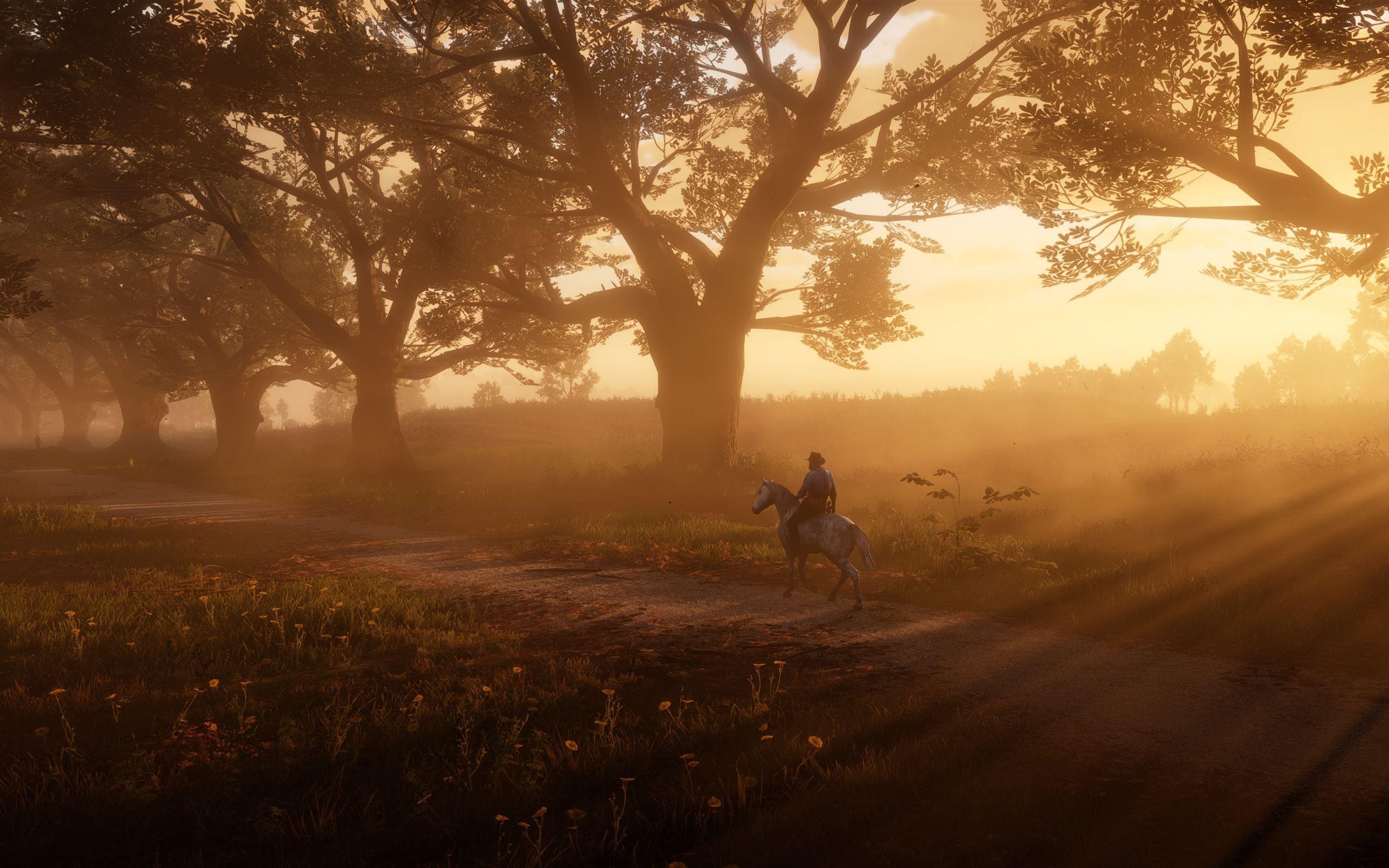 2560x1600 Best Red dead redemption 2 Mac Wallpaper Free HD Download