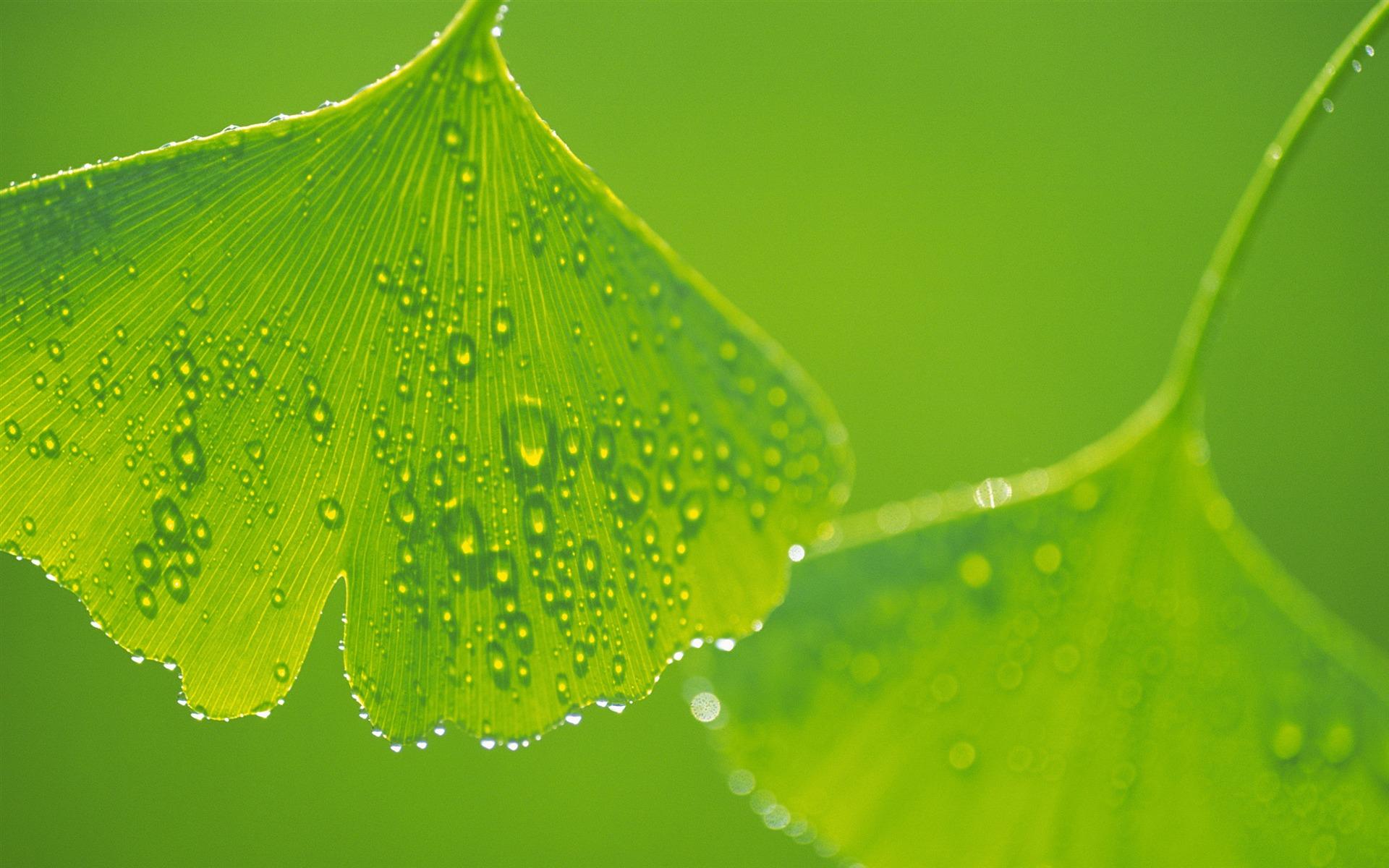 Eye Protection Wallpapers - Top Free Eye Protection Backgrounds ...