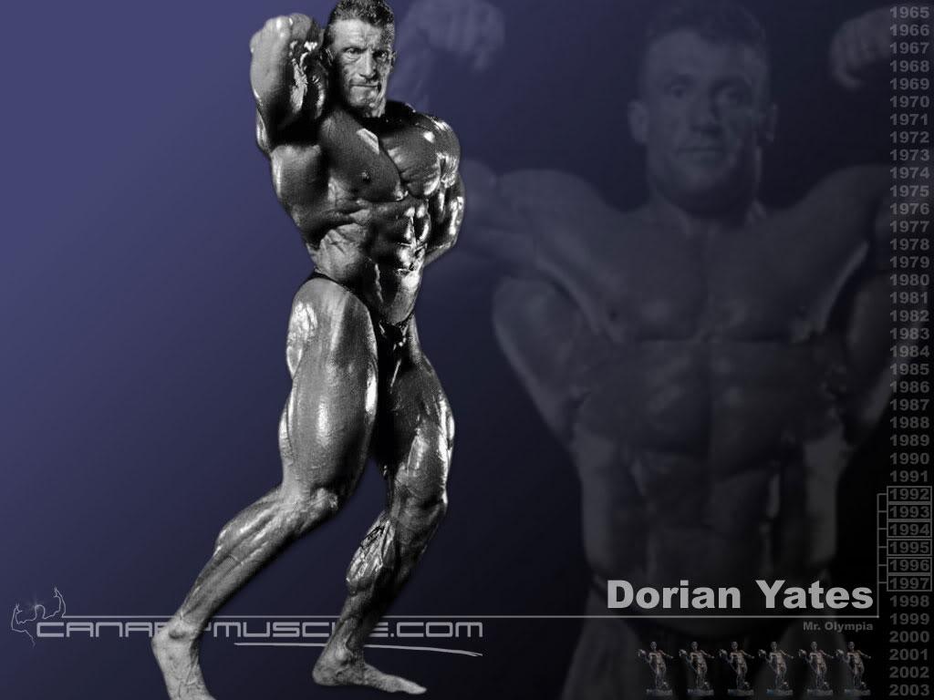 1024x768 Free download Thread Mr Olympia wallpaper Reupload them [1024x768] for your Desktop, Mobile & Tablet. Explore Mr Olympia Wallpaper. Mr Olympia Wallpaper, Wallpaper Mr Olympia, Mr Olympia Wallpaper
