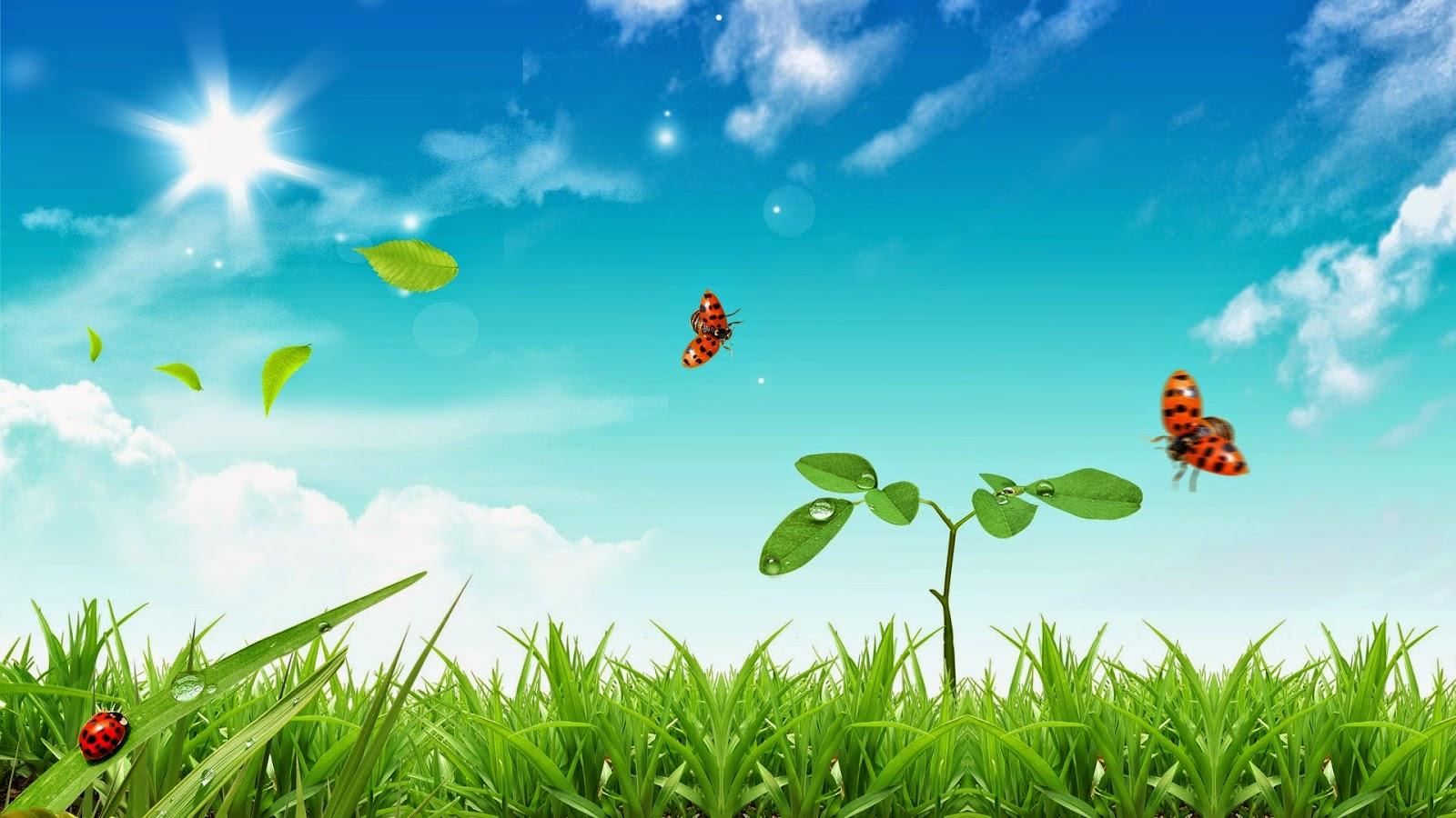 Beautiful Life Wallpapers - Top Free Beautiful Life Backgrounds ...