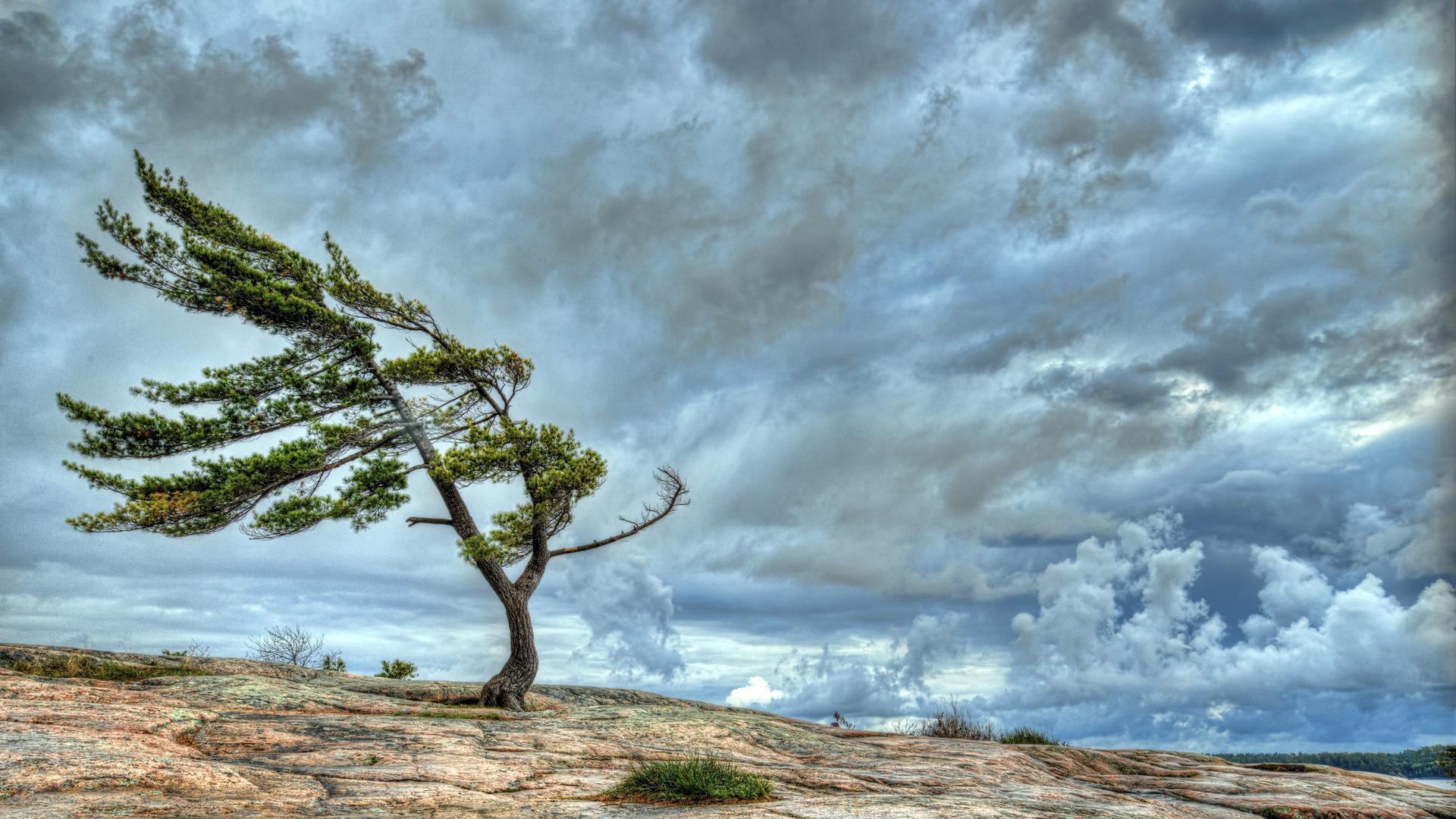 Windy Wallpapers Top Free Windy Backgrounds WallpaperAccess
