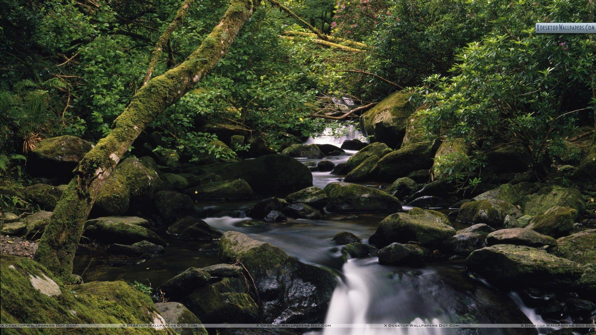 County Kerry Ireland Desktop Wallpapers - Top Free County Kerry Ireland