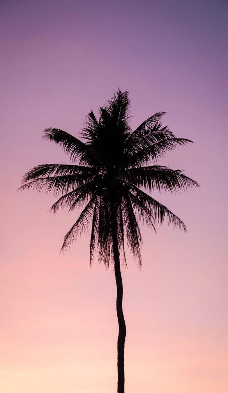 756x1303 Mauve sky iPhone wallpaper Wallpaper
