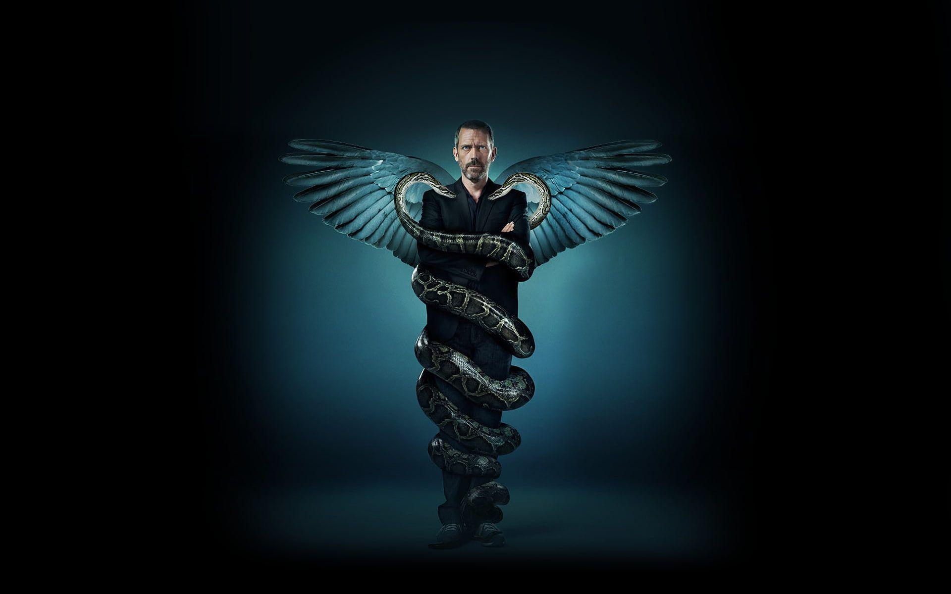 1920x1200 House, M.D. #snake #wings Hugh Laurie P #wallpaper #hdwallpaper #desktop. Home wallpaper, Superman HD wallpaper, HD wallpaper