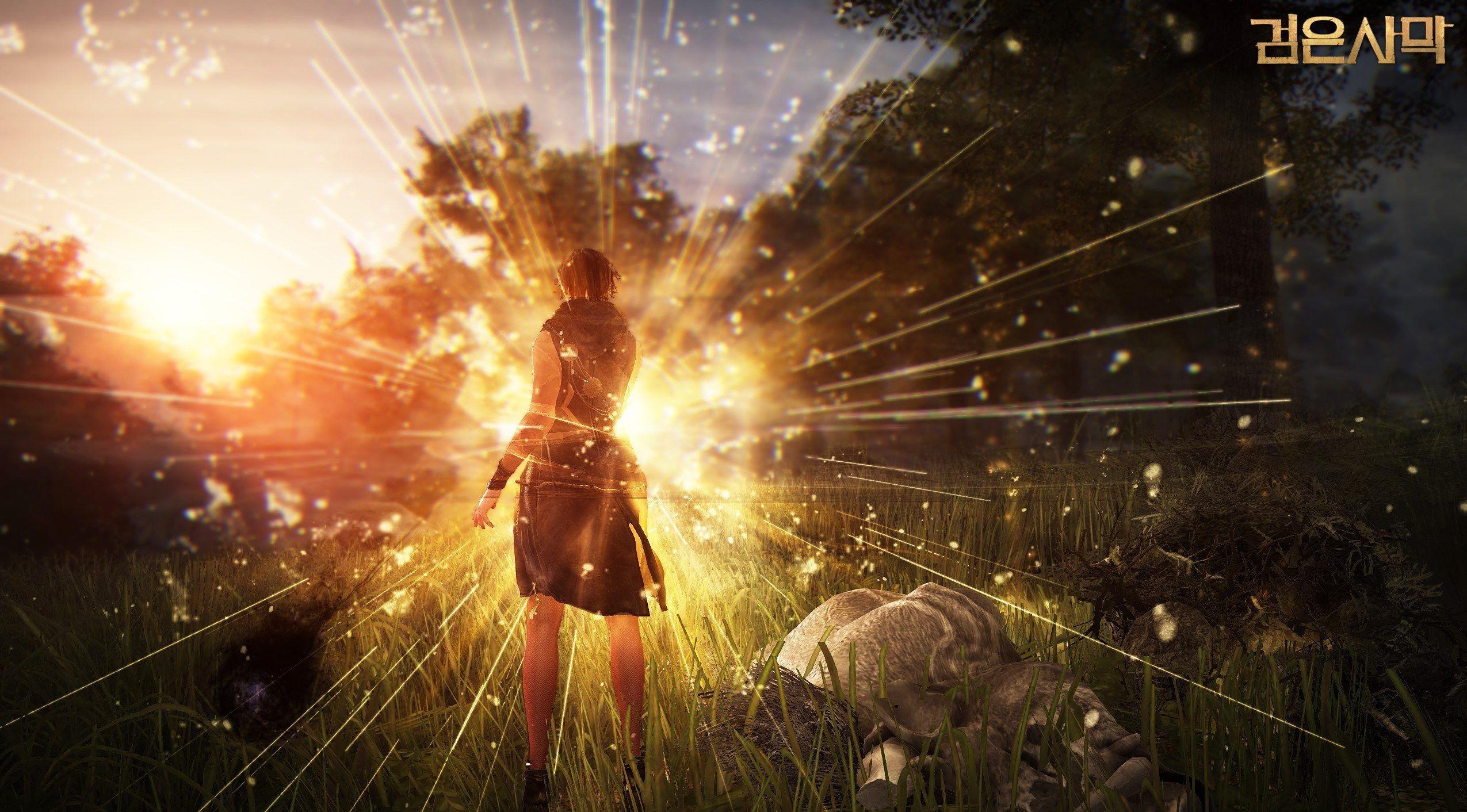 2550x1412 Black Desert Online Background