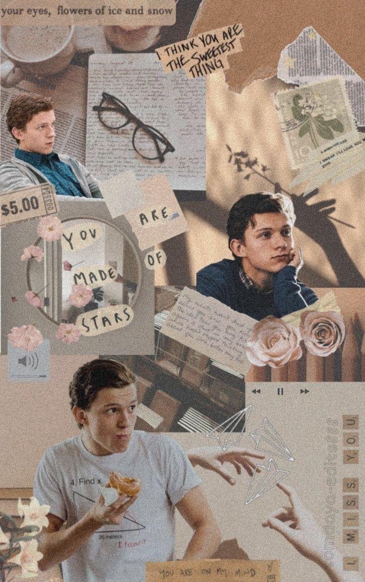 736x1173 Tom Holland Aesthetic Wallpaper
