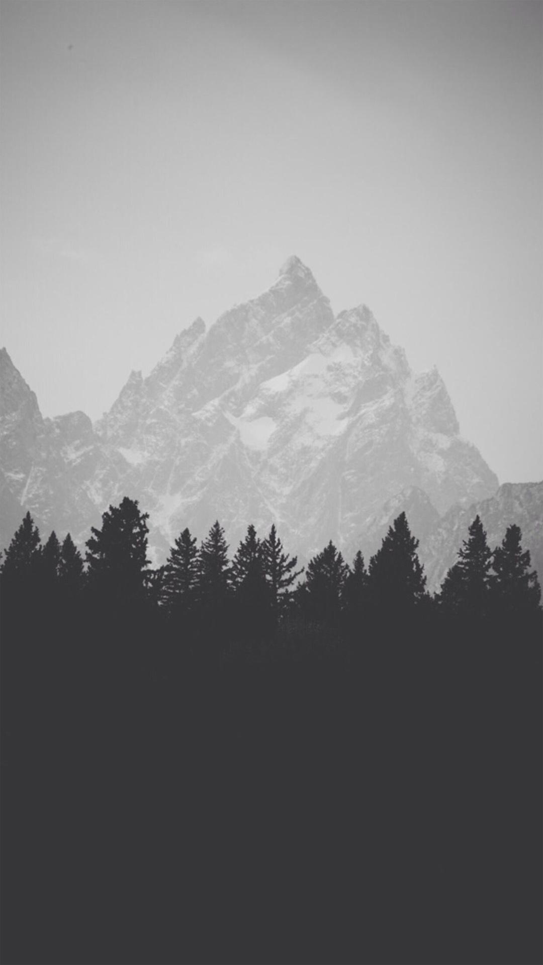 1080x1920 Mountain Top Behind Pine Forest Black And White iPhone HD Wallpaper HD