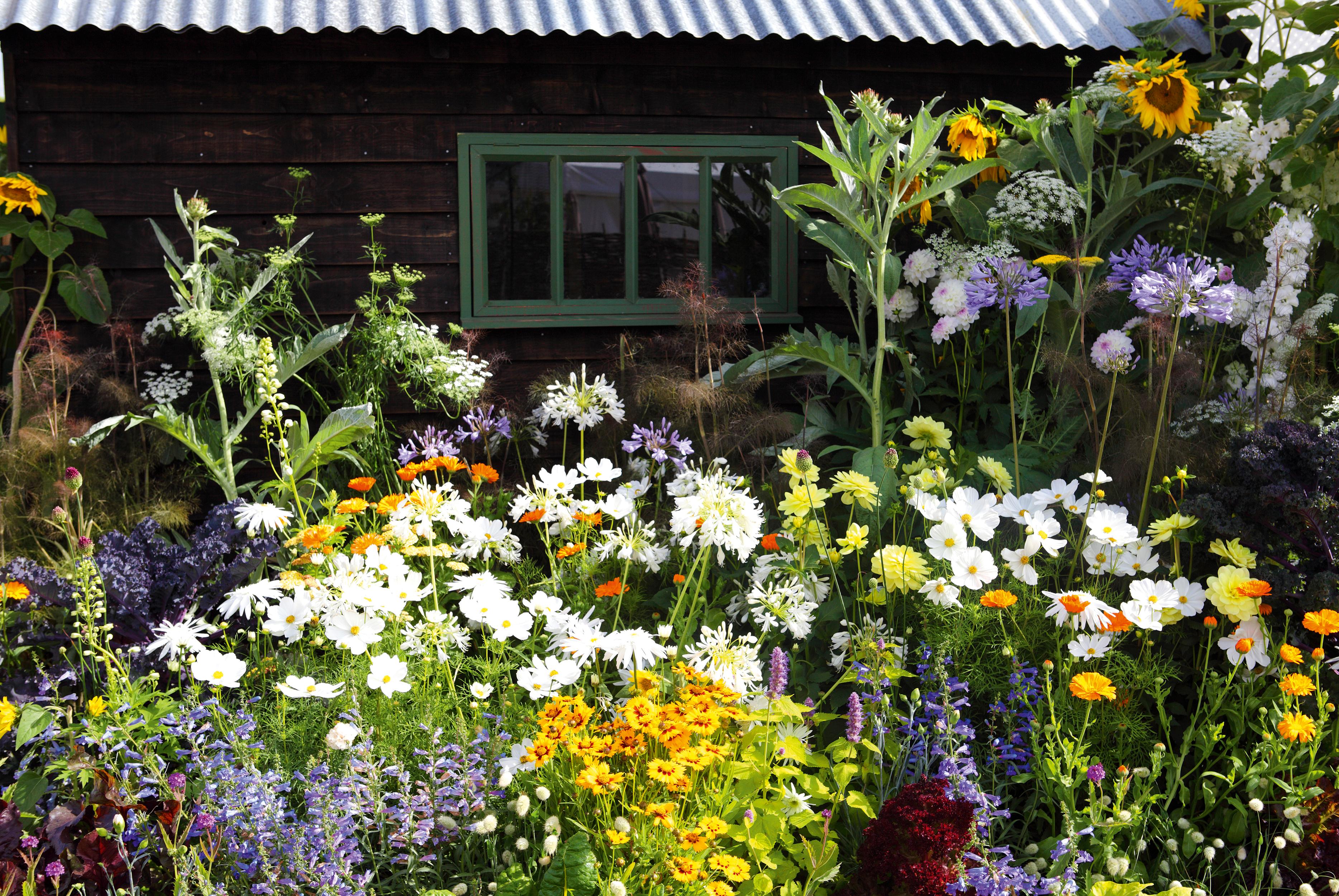 3736x2500 Cottage garden plants