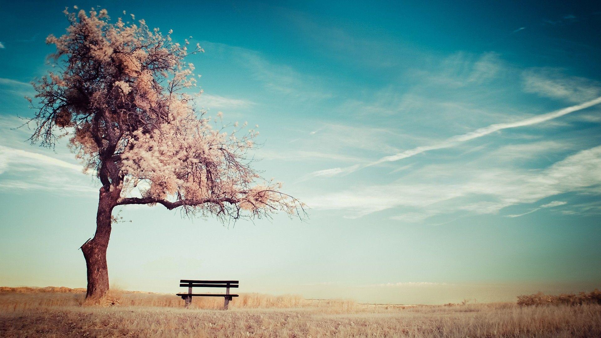 1920x1080 Serene Sky Wallpaper 34860 1920x1080px