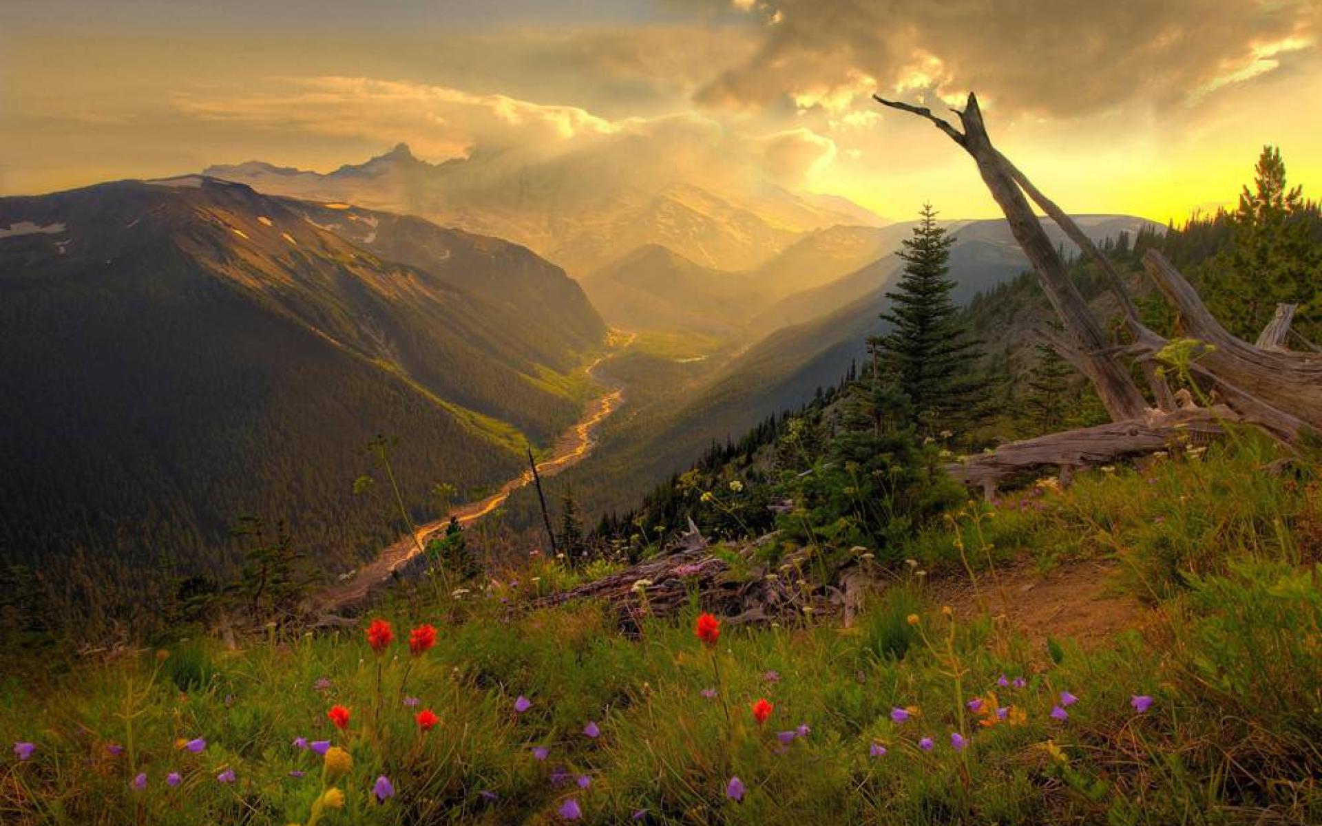 1920x1200 Free download Serene Wallpaper [1920x1200] for your Desktop, Mobile & Tablet. Explore Serene Wallpaper. HD Nature Wallpaper