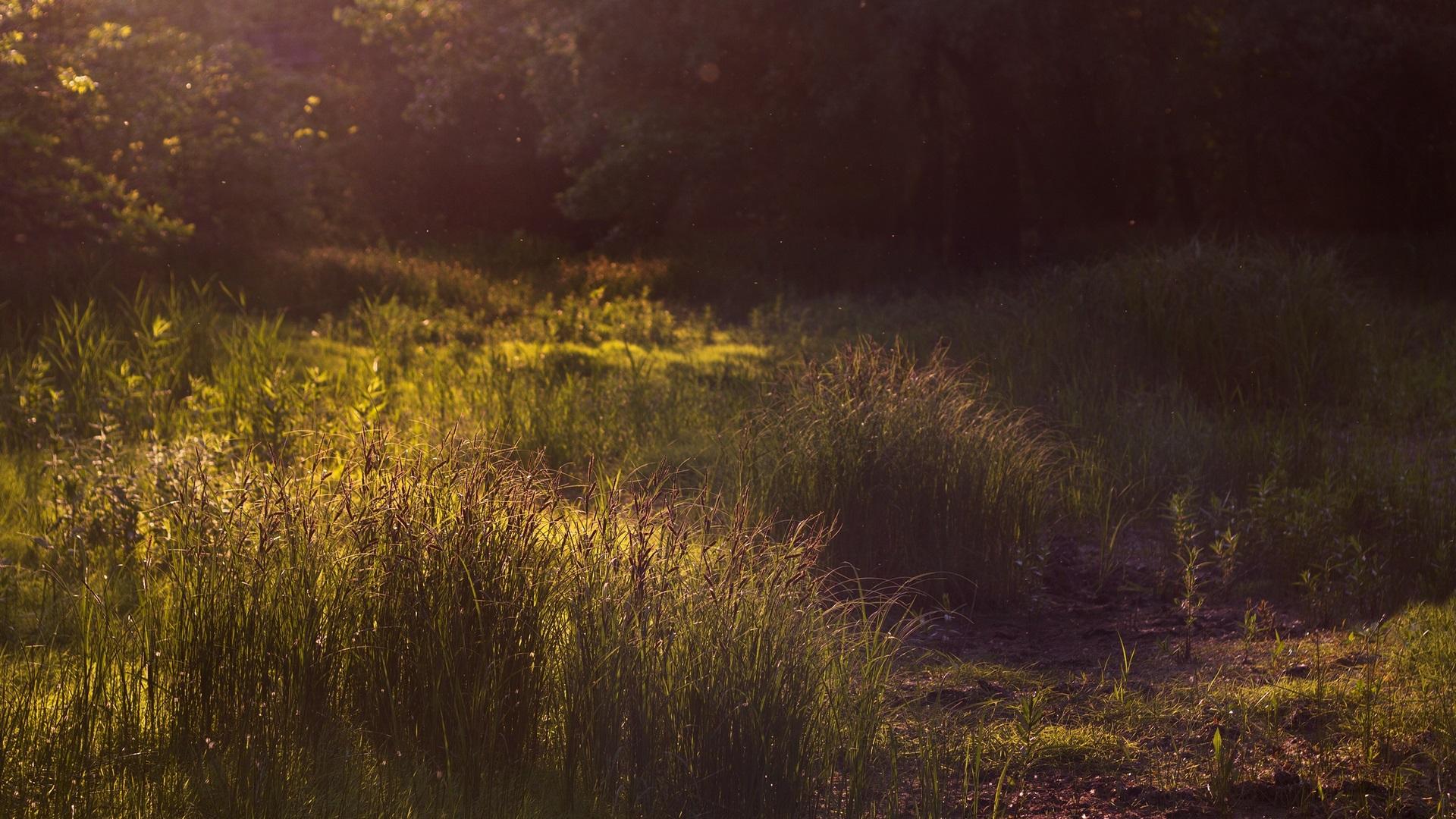 1920x1080 serene HD wallpaper, Background