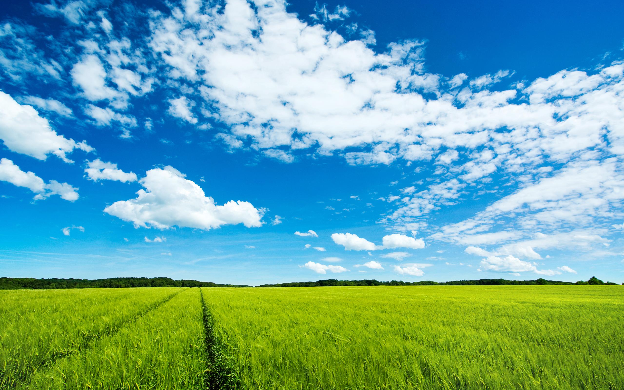 2560x1600 Serene HD wallpaper « HD Wallpaper