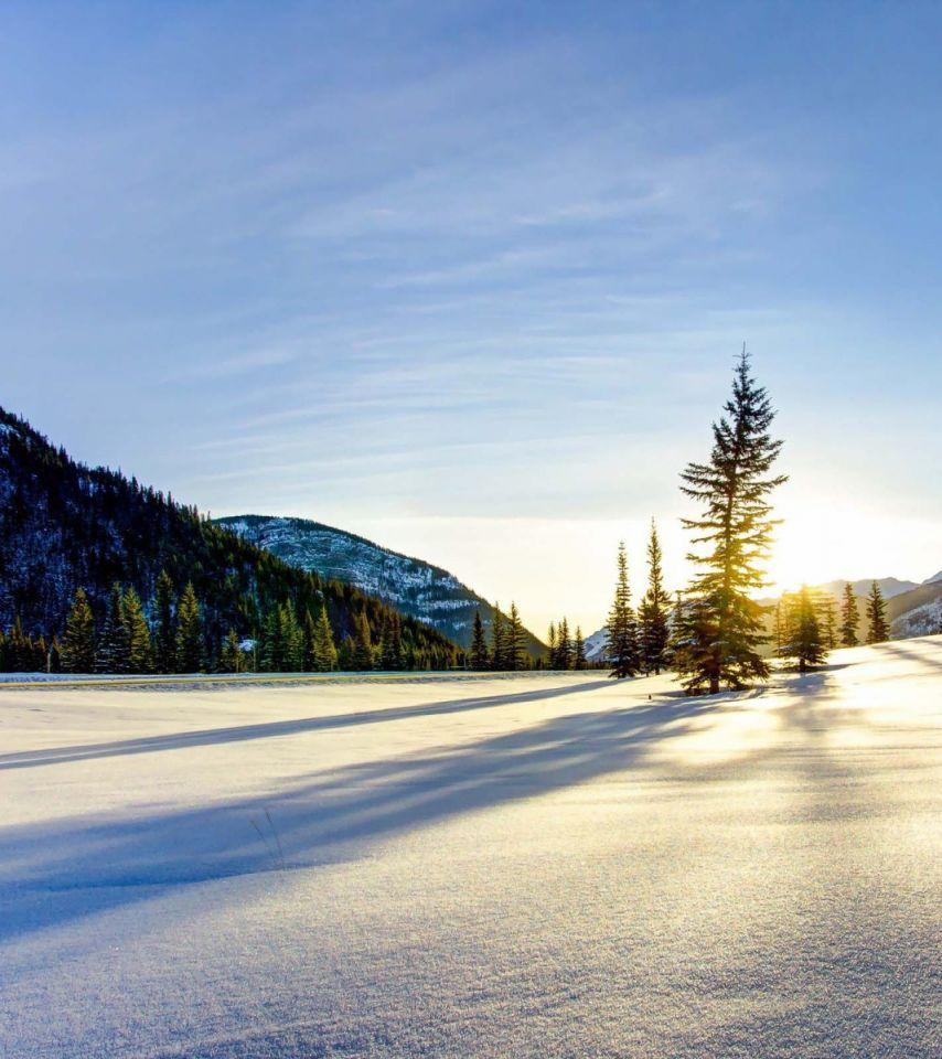 854x960 Serene Snow Wallpaper. All is Wall