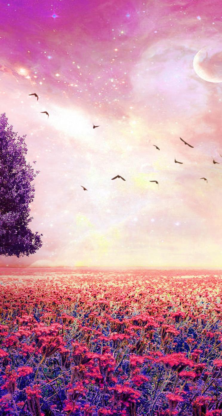 744x1392 Dreamy Wallpaper
