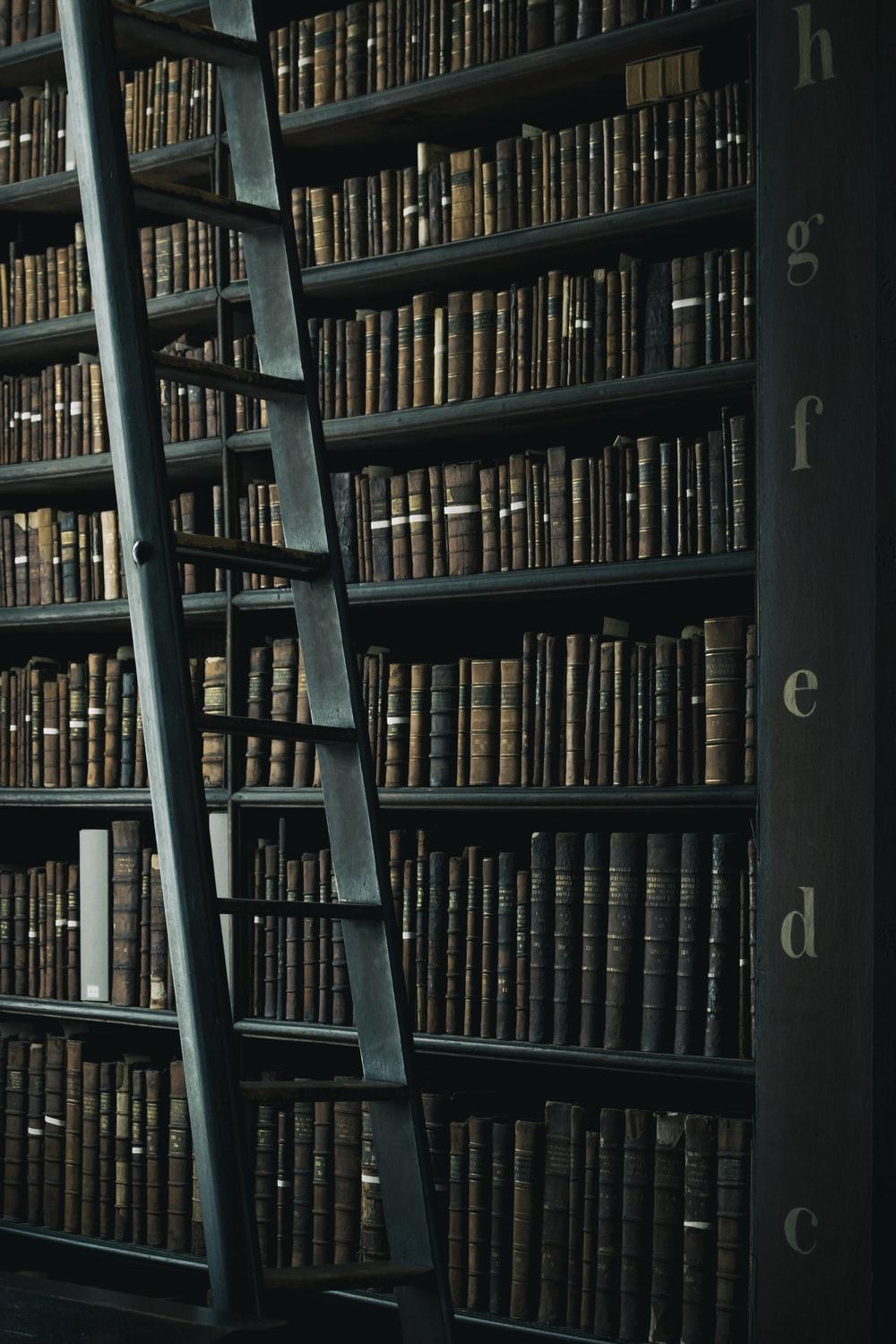 1000x1500 Harry Potter Library Picture. Download Free Image